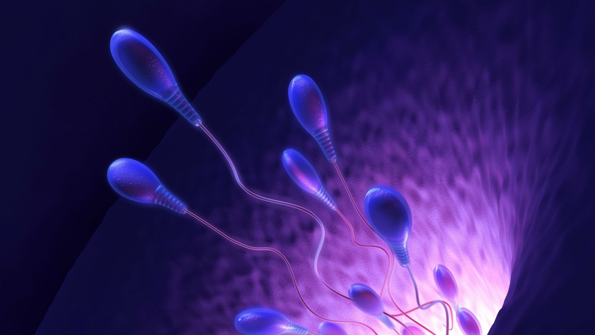Sperm Abstraction Abstract Bokeh Life Sex Sexual Medical Dna Male Man Men 1sperm Mating Psychedelic Egg Cell Eggs Swim Swimming Vector Wallpaper At 3d