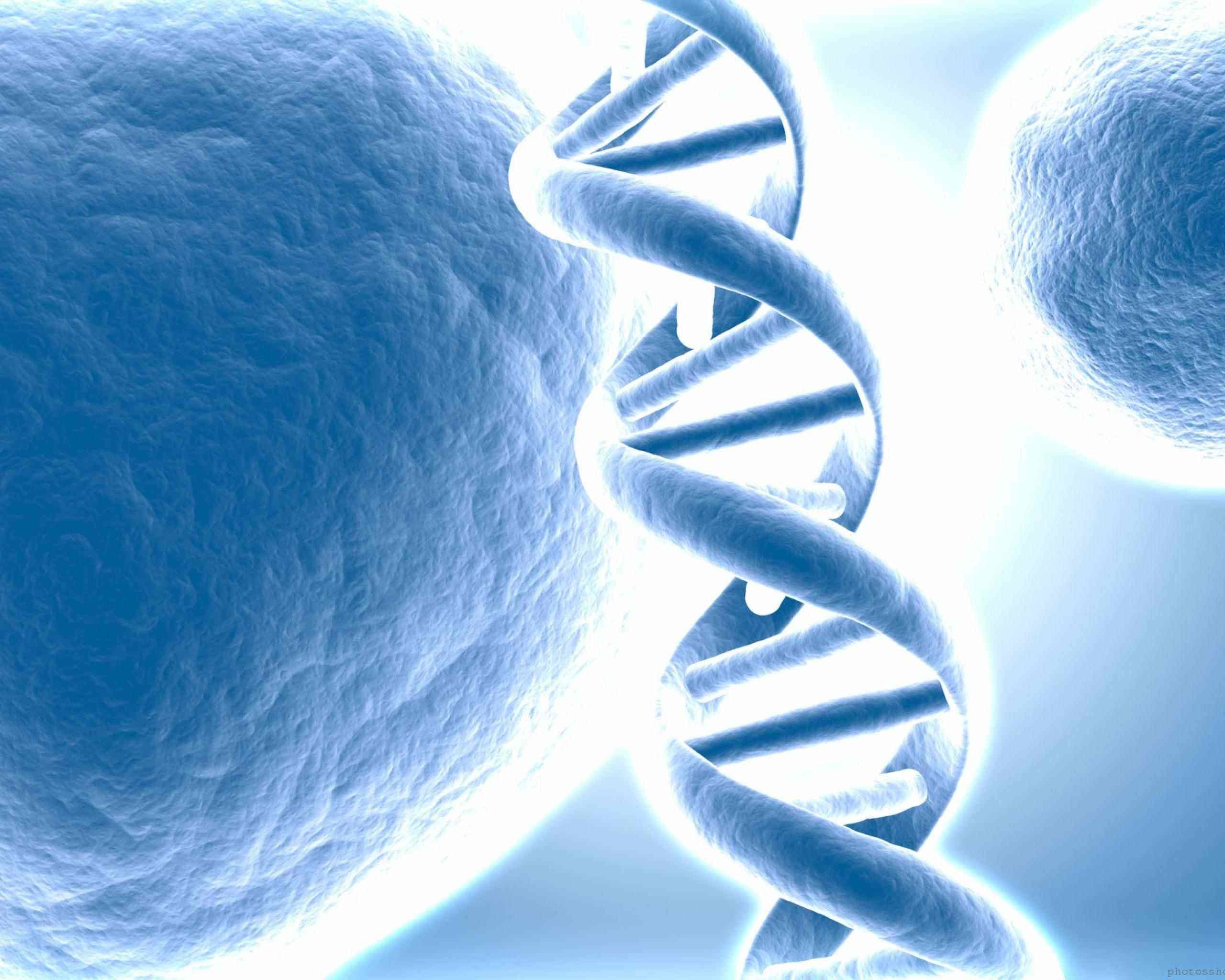 Images For > Human Dna Wallpaper
