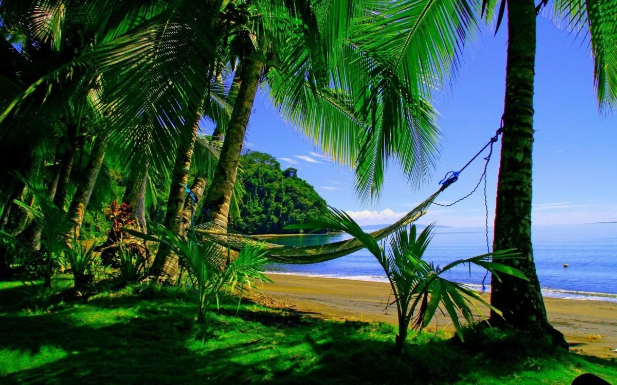 66+ Puerto Rican Wallpaper and Screensaver
