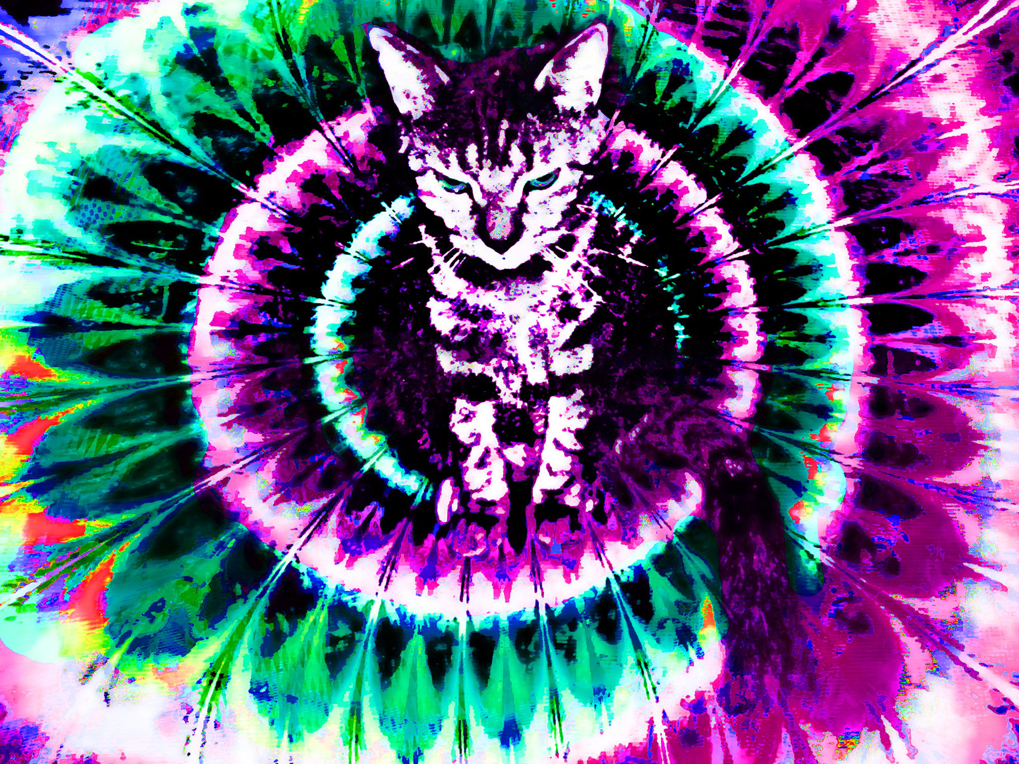 Showing Gallery For Trippy Cat Wallpaper Hd