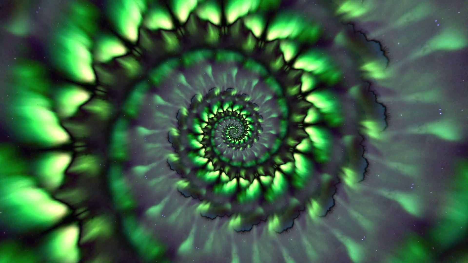 Hypnotic Morphing Psychedelic Fibonacci Spiral Motion Background –  VideoBlocks