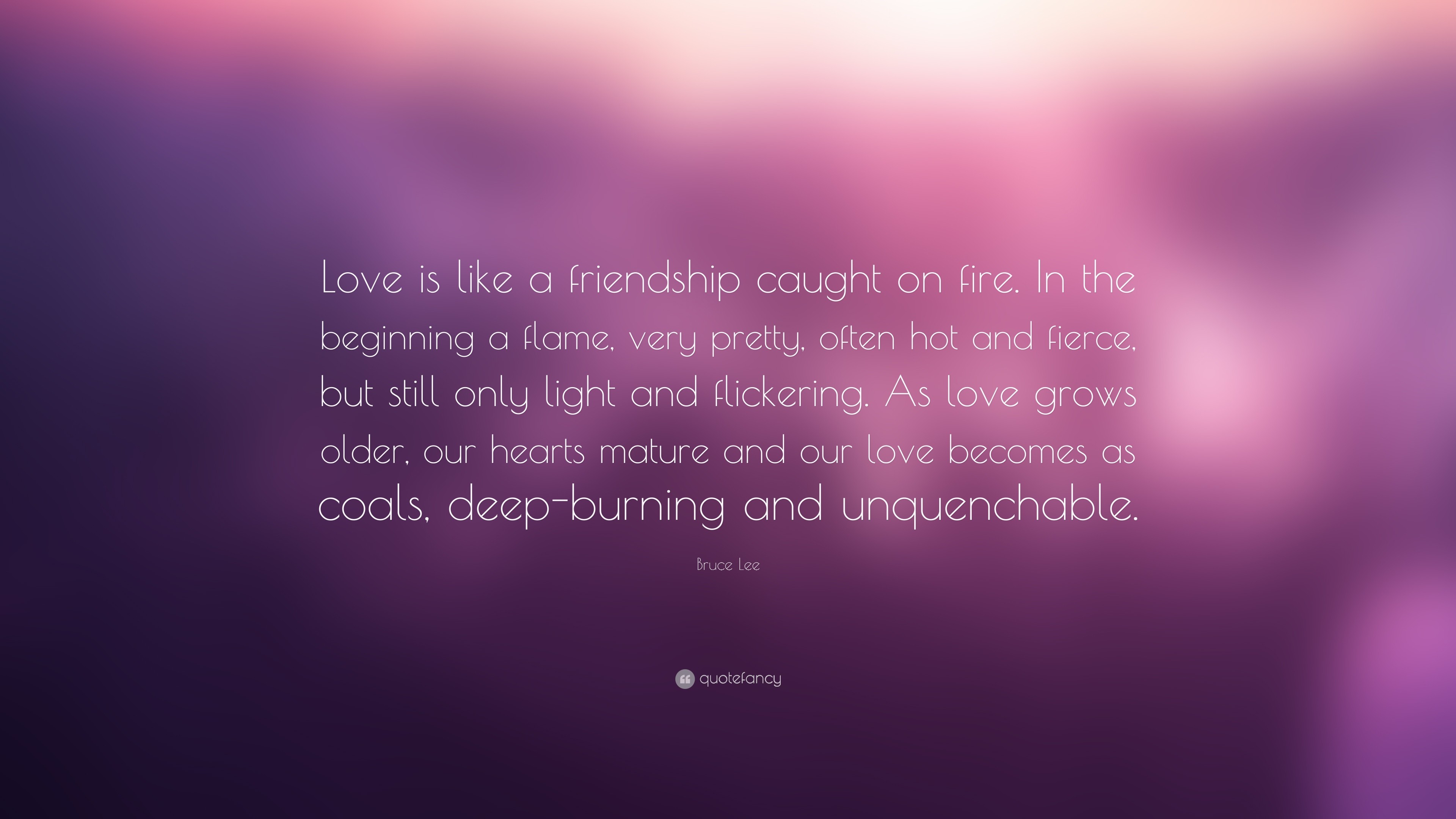 Bruce Lee Quote Love is like a friendship caught on fire. In the