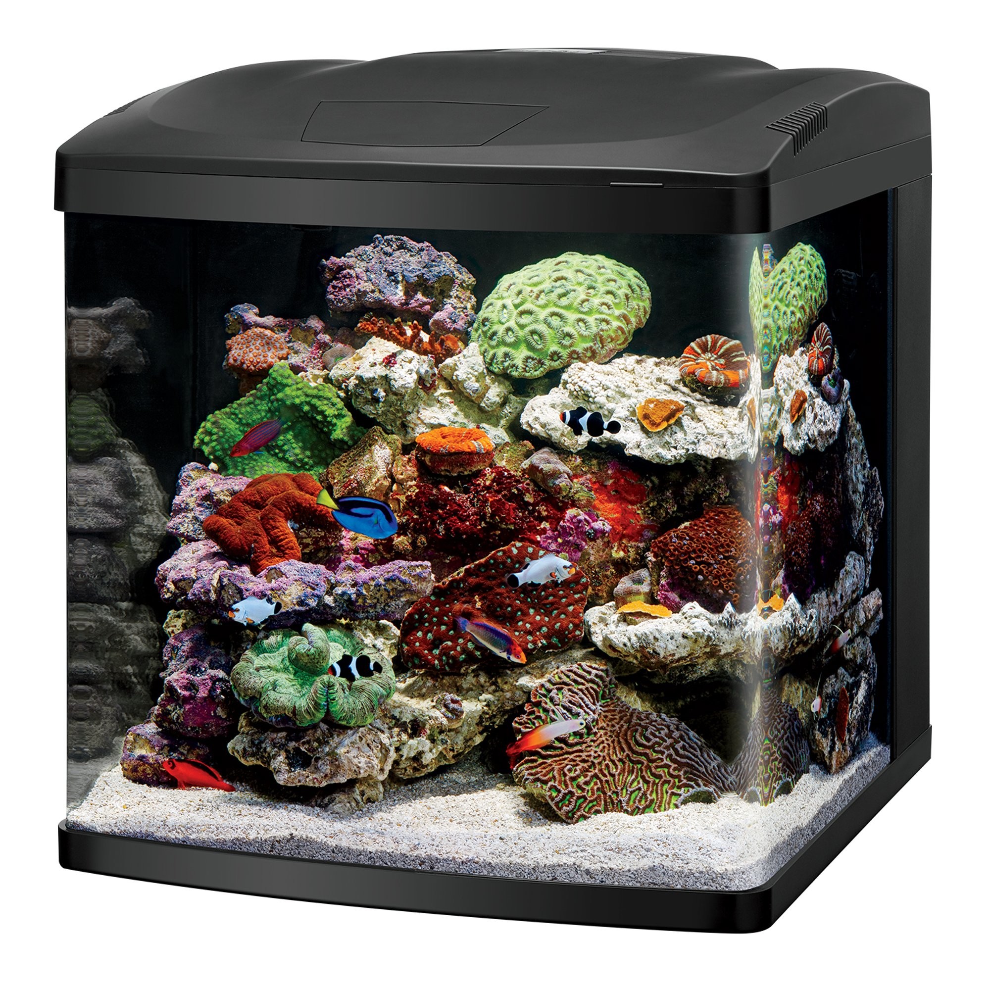 Full Size of Fish Tank Desk Fish Tank Aquarium Best Office For Center Tanks Saltwater Freshwater