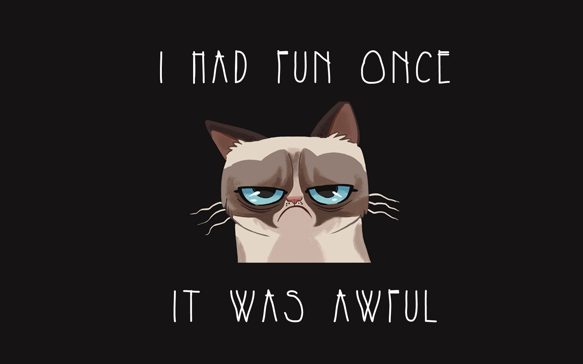 Grumpy cat quotes Funny Grumpy Cat Quotes HD Wallpaper for Desktop