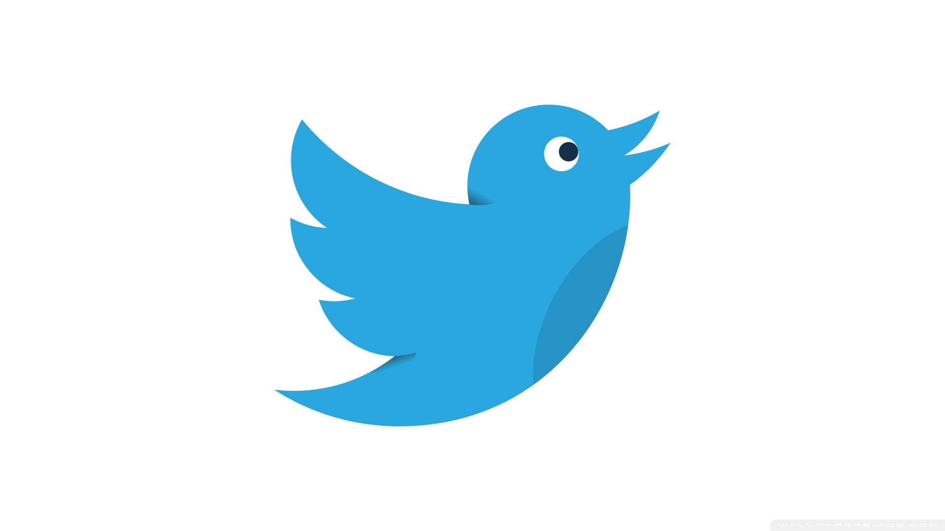 Twitter Bird Social Media HD Wide Wallpaper for Widescreen