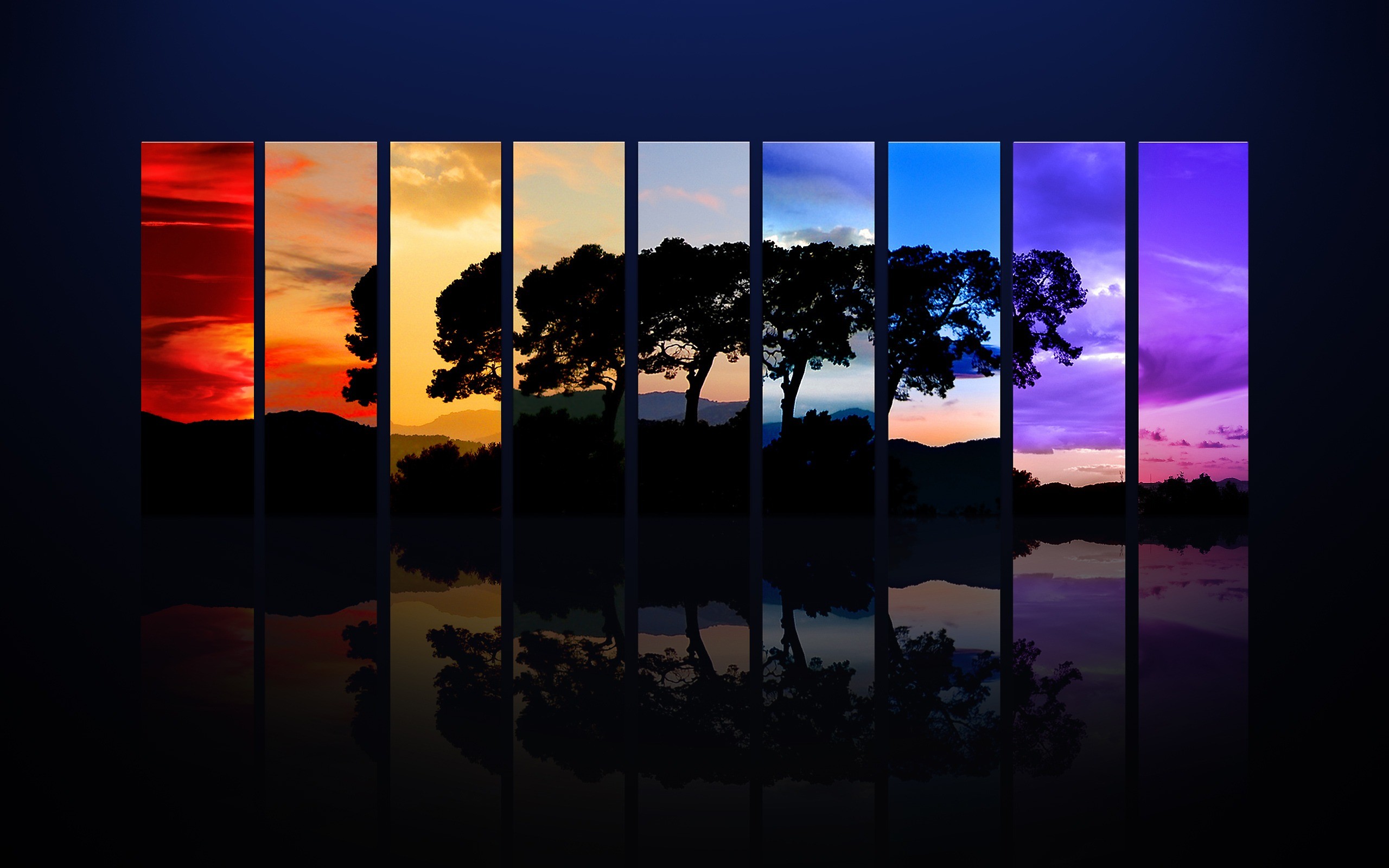 Spectrum of a Tree Wallpaper Photo Manipulated Nature