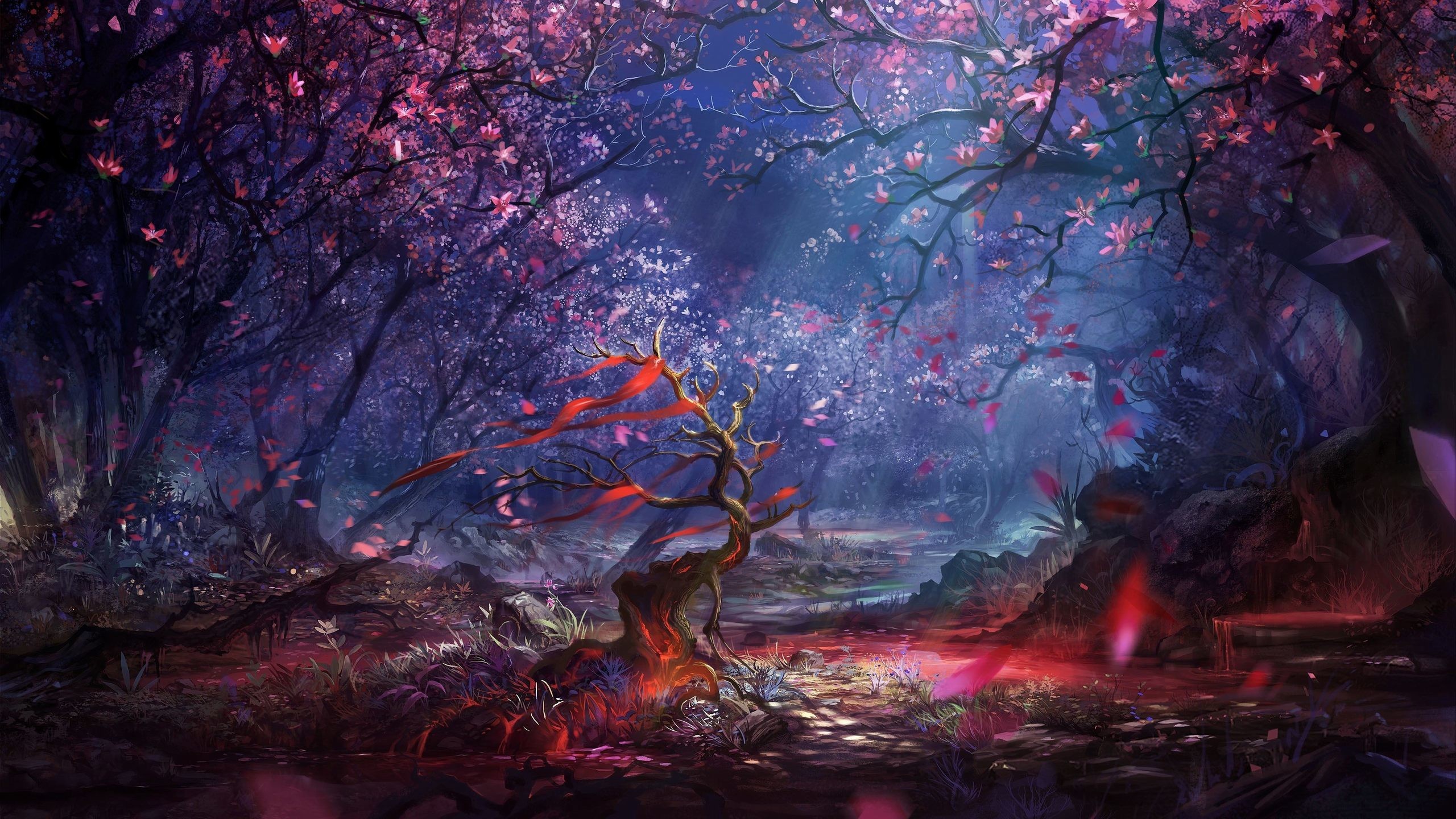 Fantasy Forest Widescreen Wallpaper High Resolution Wallpaper px…