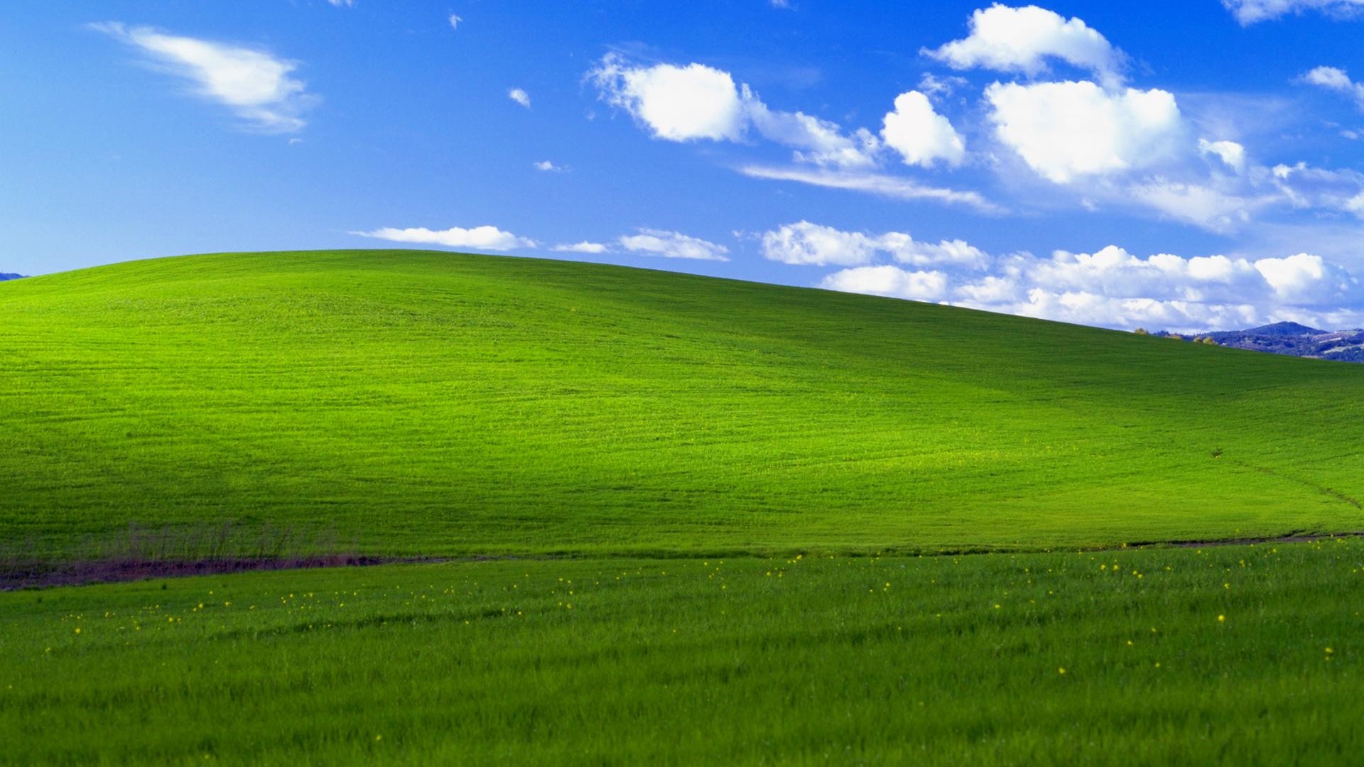 Anyone wanna do me a favor and glitch the Windows wallpaper for my new Linux installation