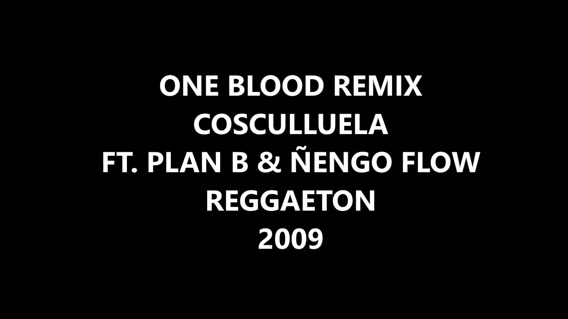 PLAN B & ÃENGO FLOW REGGAETON 2009 || Descarga Mega ||