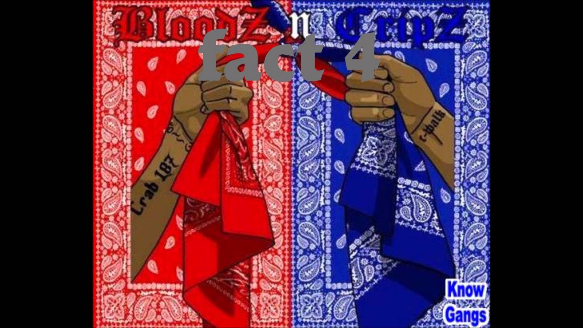 Crips and bloods