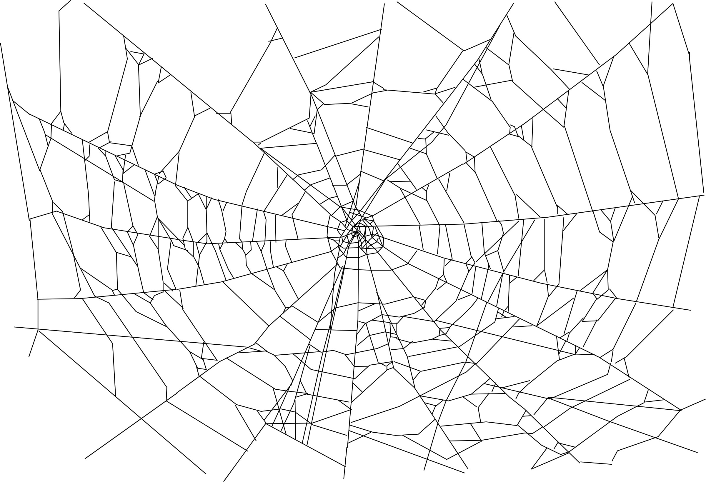 Amazing Spider Web Pictures & Backgrounds