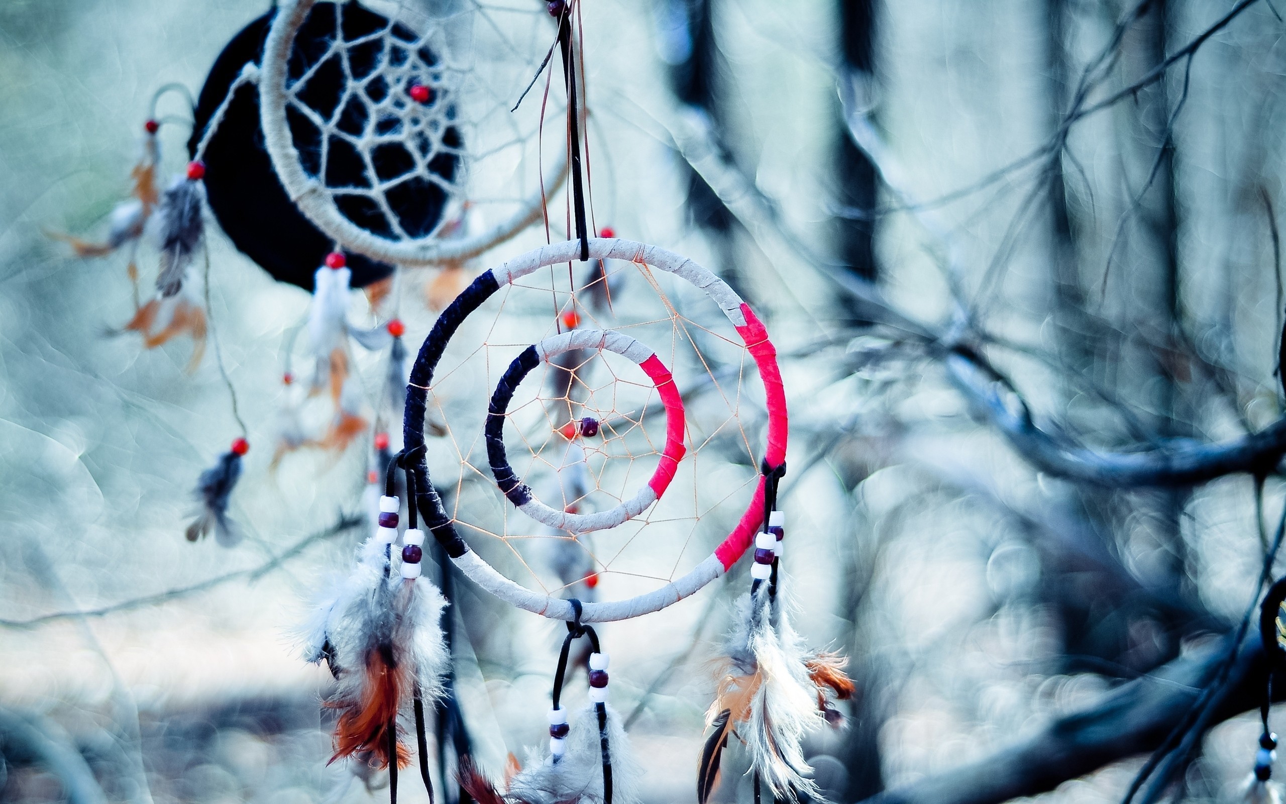 Dreamcatcher Wallpaper Popular Photography