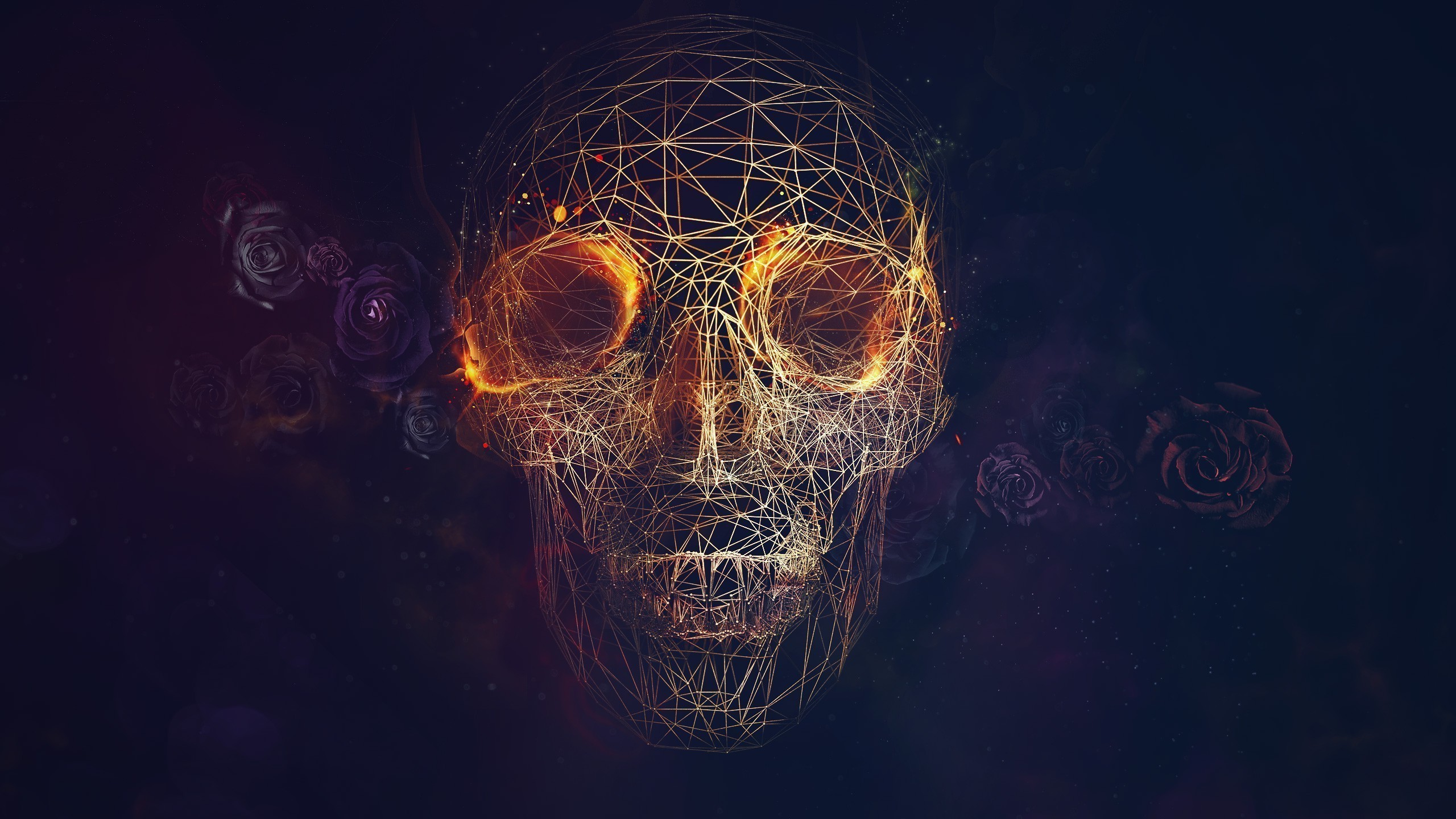 Skull HD Wallpaper 2560×1440