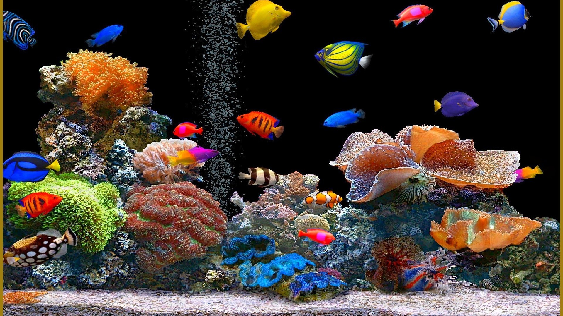 Animated Desktop Wallpaper Fish for Windows 8.1 | All for Windows 10 .