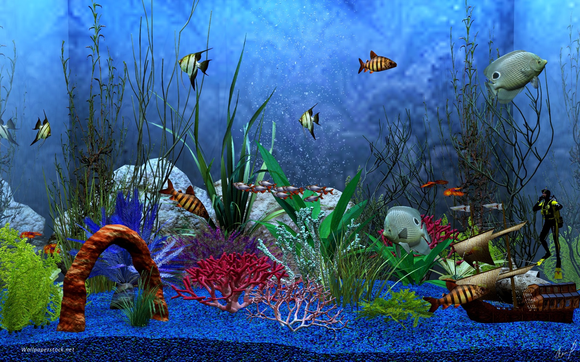 Aquarium wallpaper – 574025
