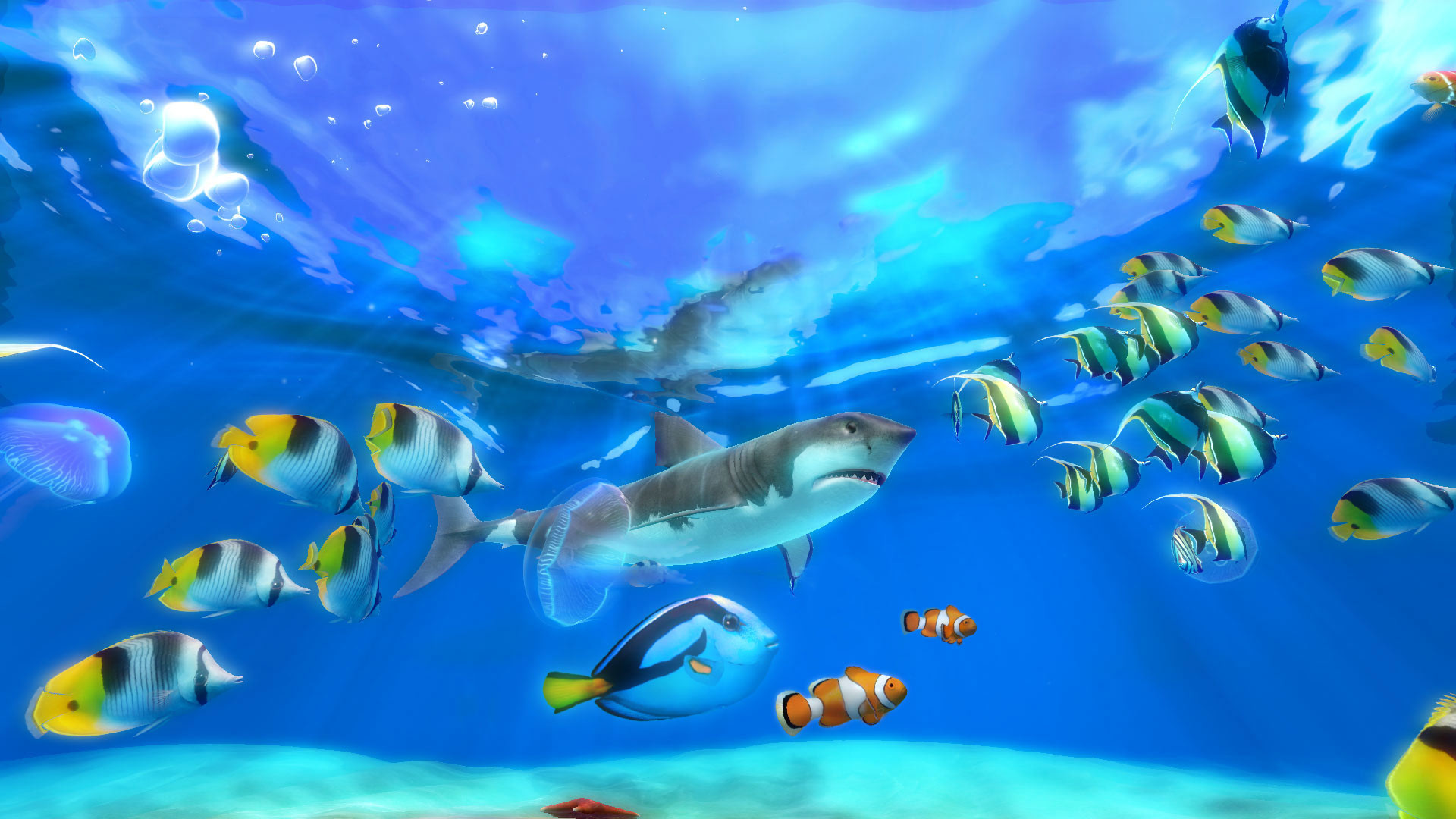 Aquarium 3d Live Wallpaper For Pc Image Num 91
