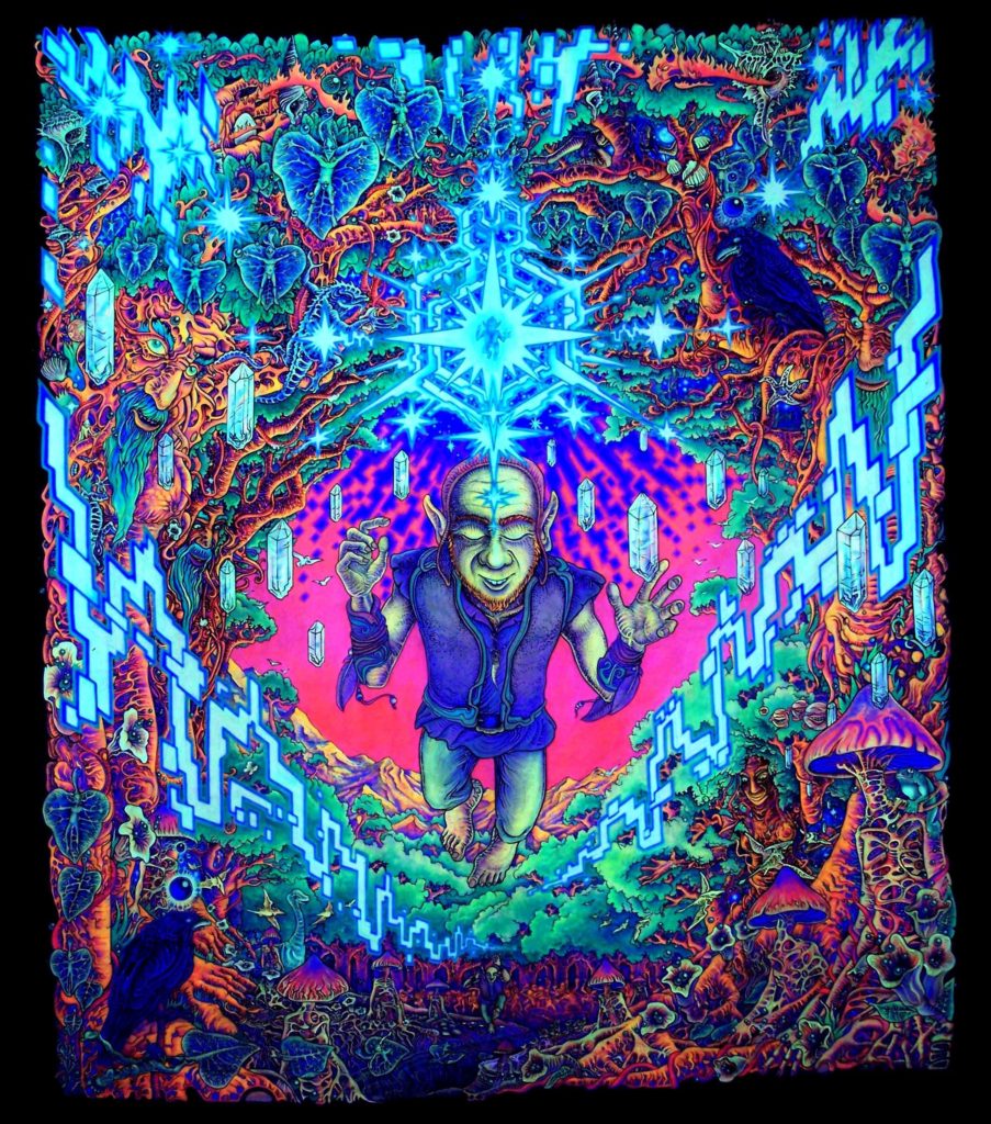 54+ LSD
