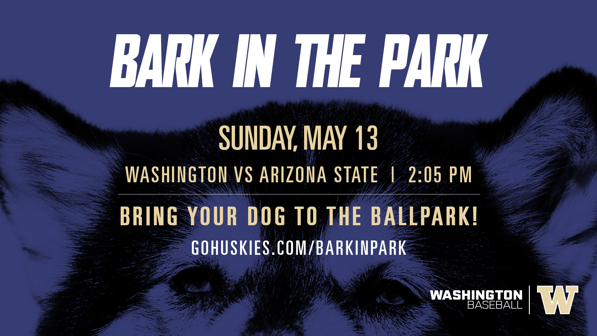 Washington Baseball // Bark in the Park // Sunday, April 24, 2016. Husky  Ballpark Washington vs St. Mary's // 1:00 PM