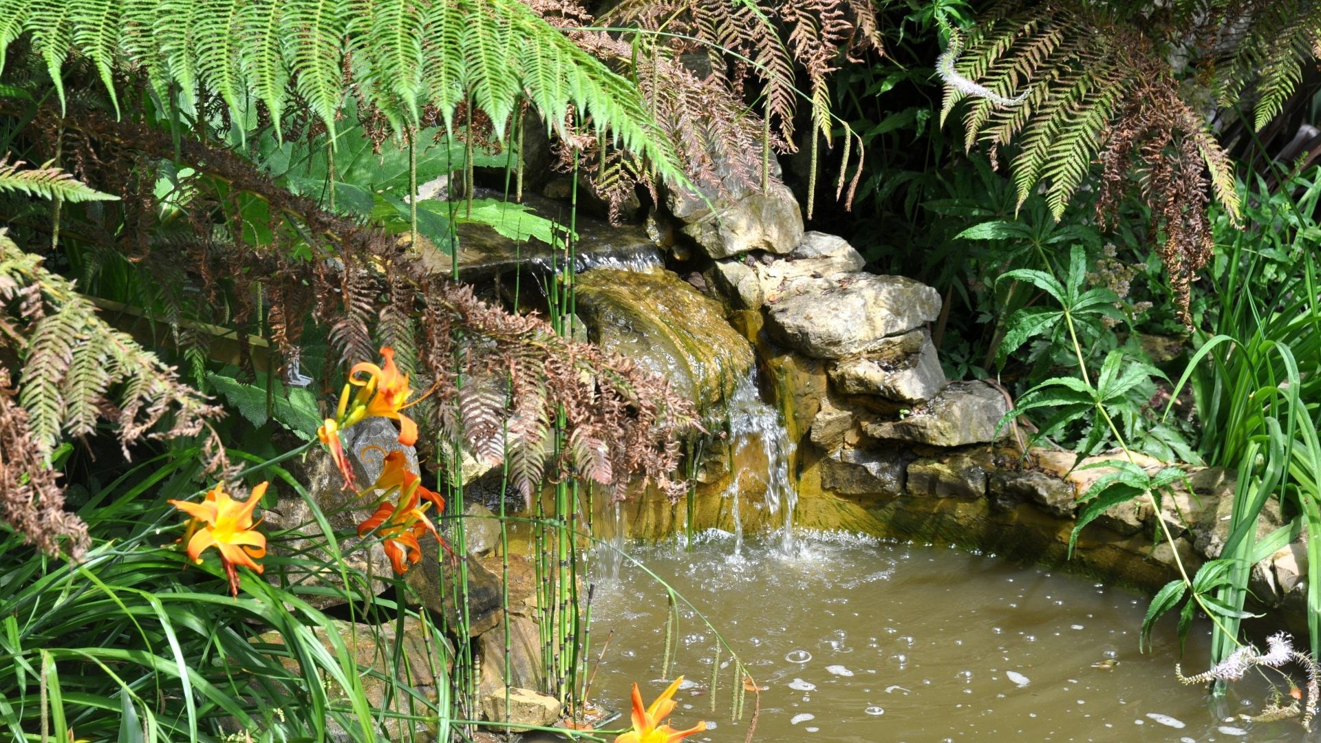 Desktop Background Moving. 4288×2848. English Tag – Gardens British United England English Pond Serenity Orange Water River Peace Serene Britain