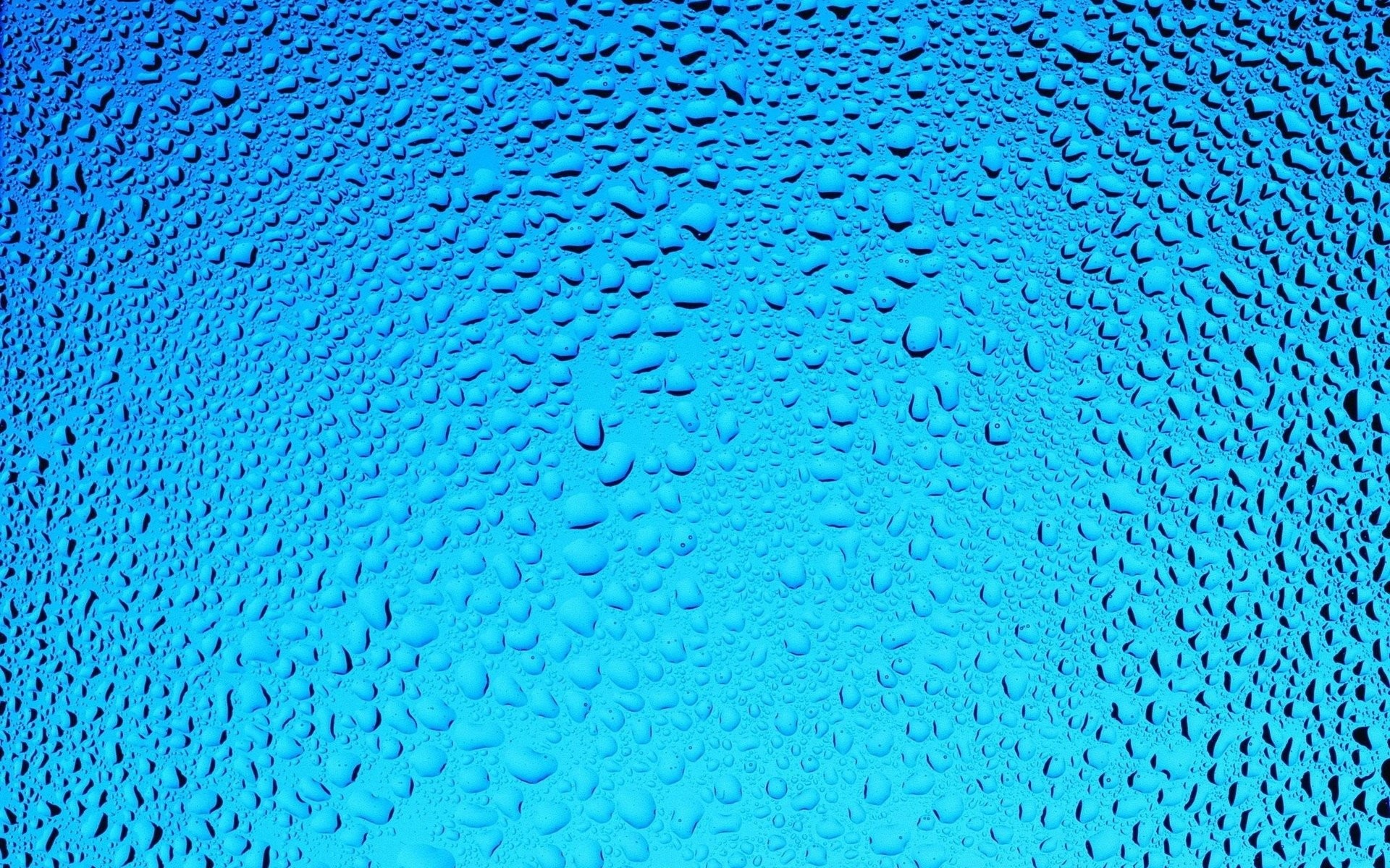 Photography – Raindrops Wallpaper