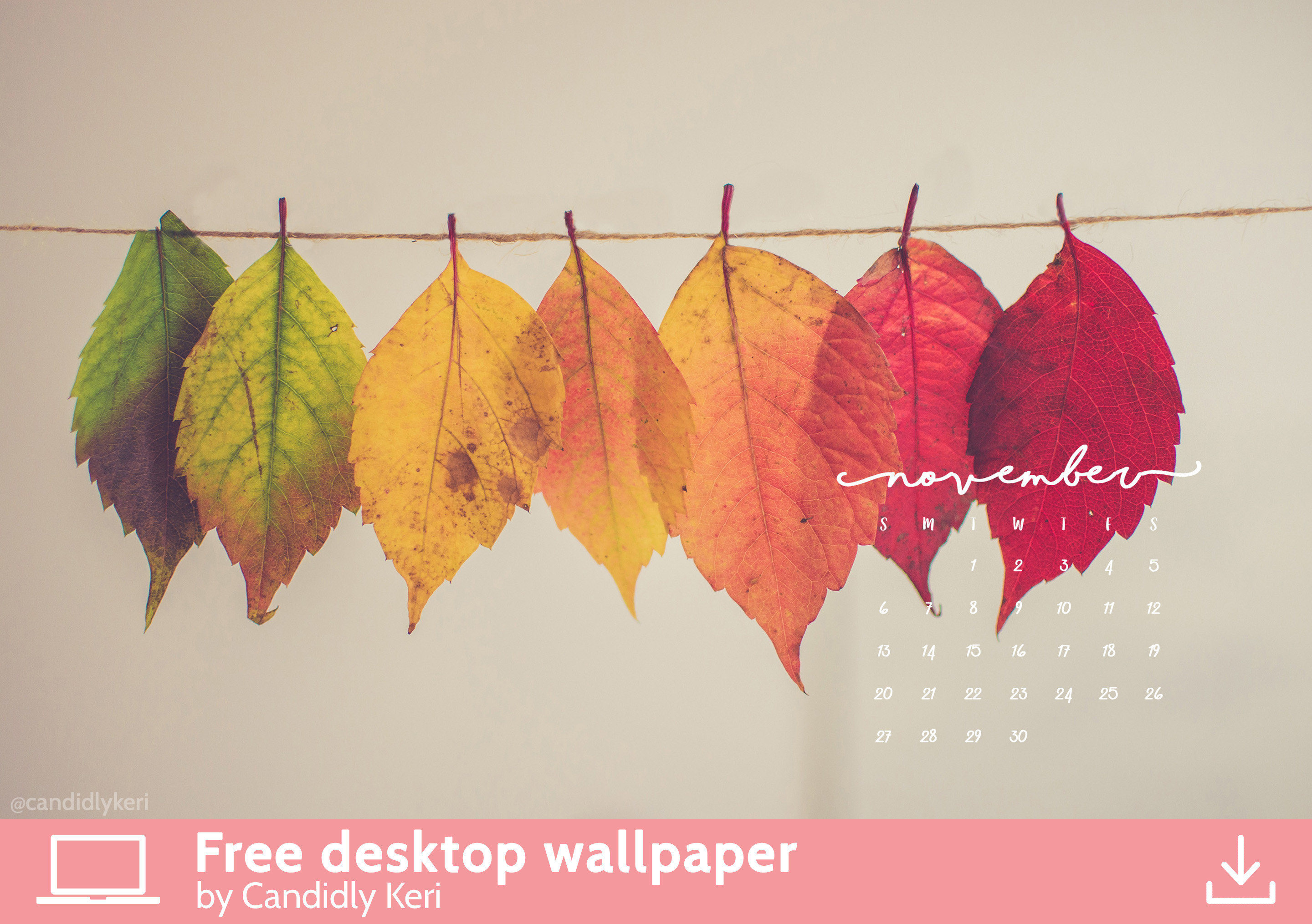 Pretty Leaf photography colorful leaves yellow orange red November calendar 2016 wallpaper you can download for