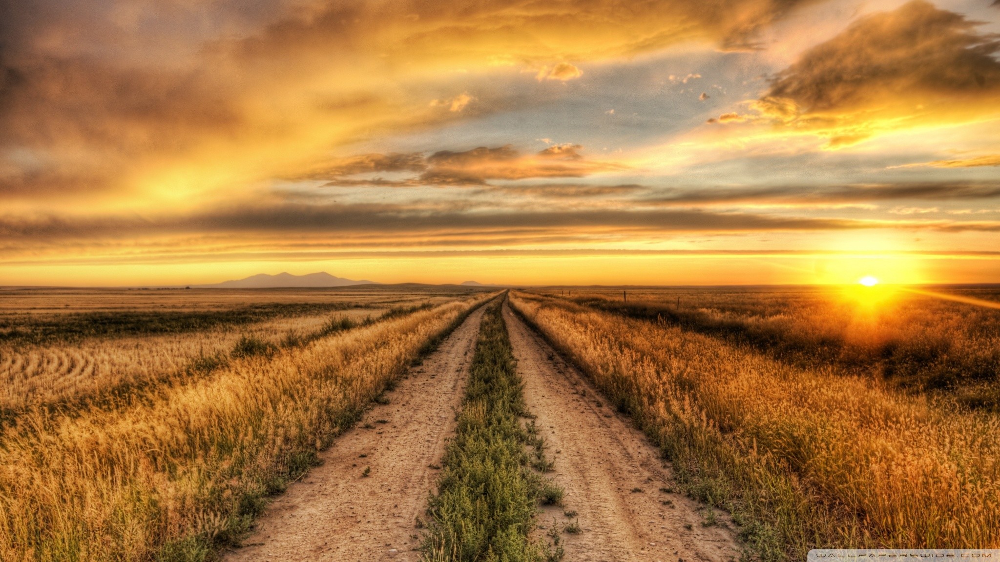 Country Road Country Road Wallpaper