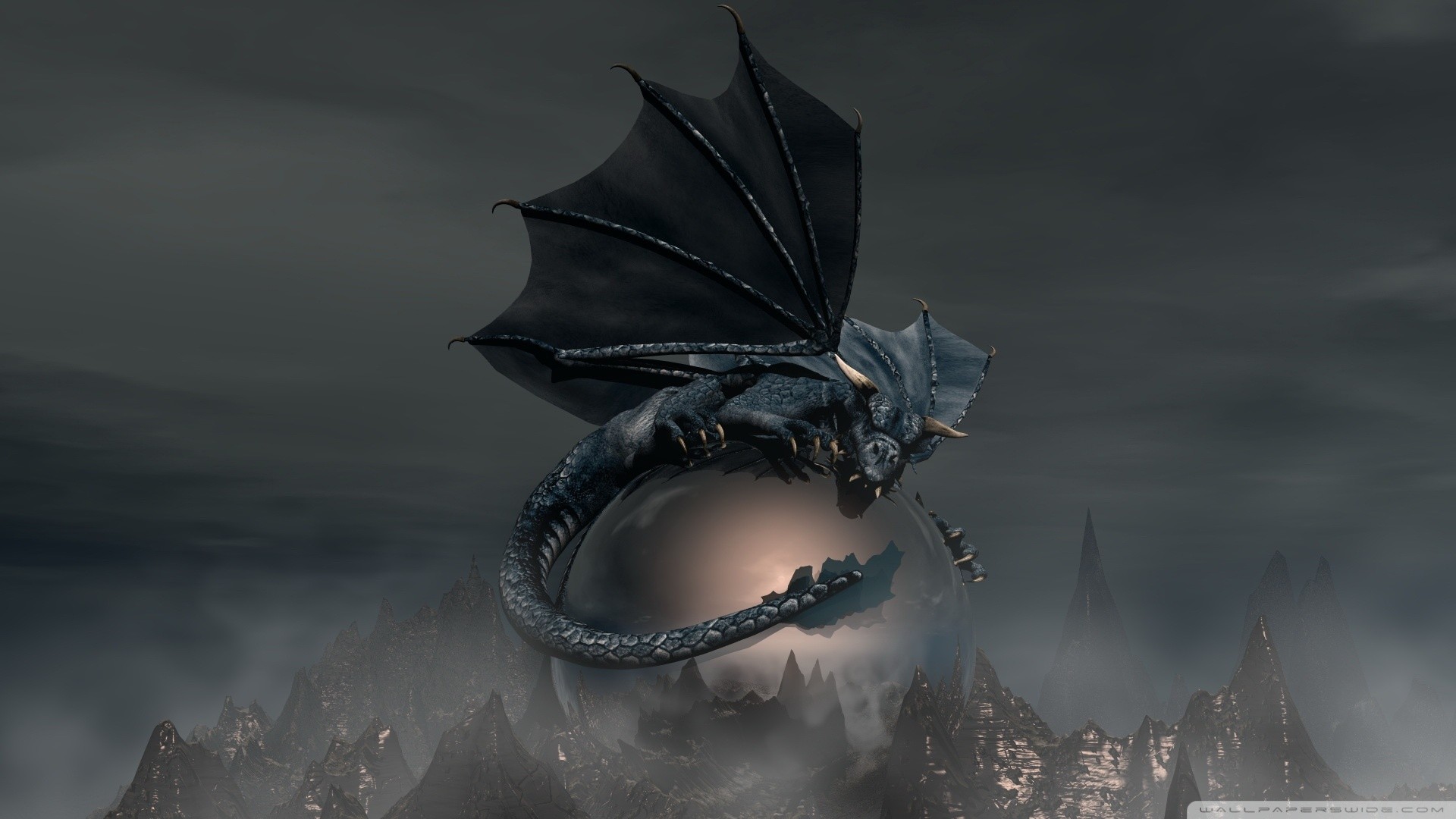 Black Dragon Wallpaper Black, Dragon