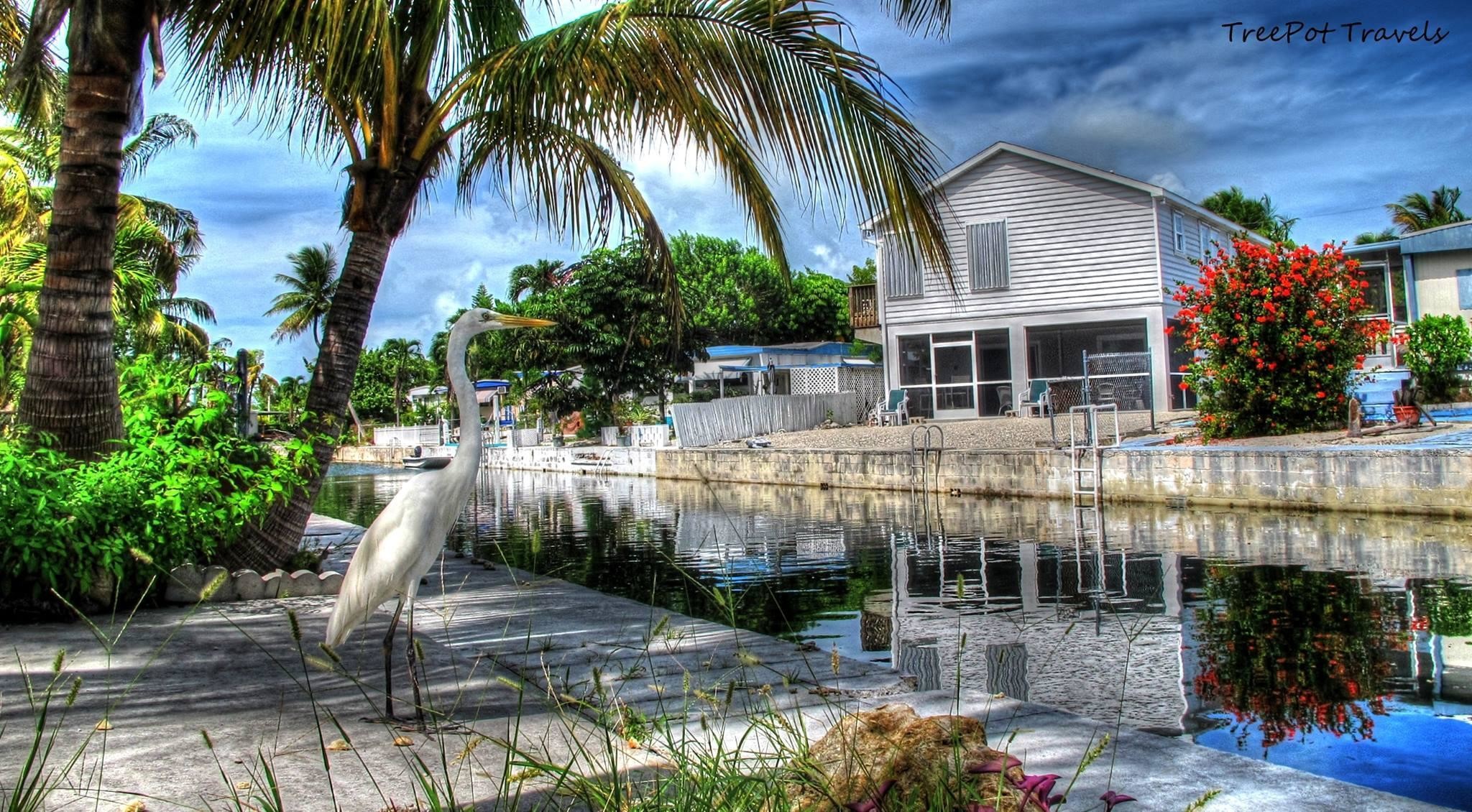 The Florida Keys: Khám phá những cánh đồng bãi biển phía nam nước Mỹ với Florida Keys. Được ví như là viên ngọc rực rỡ của Florida, Florida Keys là một trong những điểm du lịch đẹp và nổi tiếng nhất. Hãy xem hình ảnh để chiêm ngưỡng những cảnh quan độc đáo của Florida Keys.