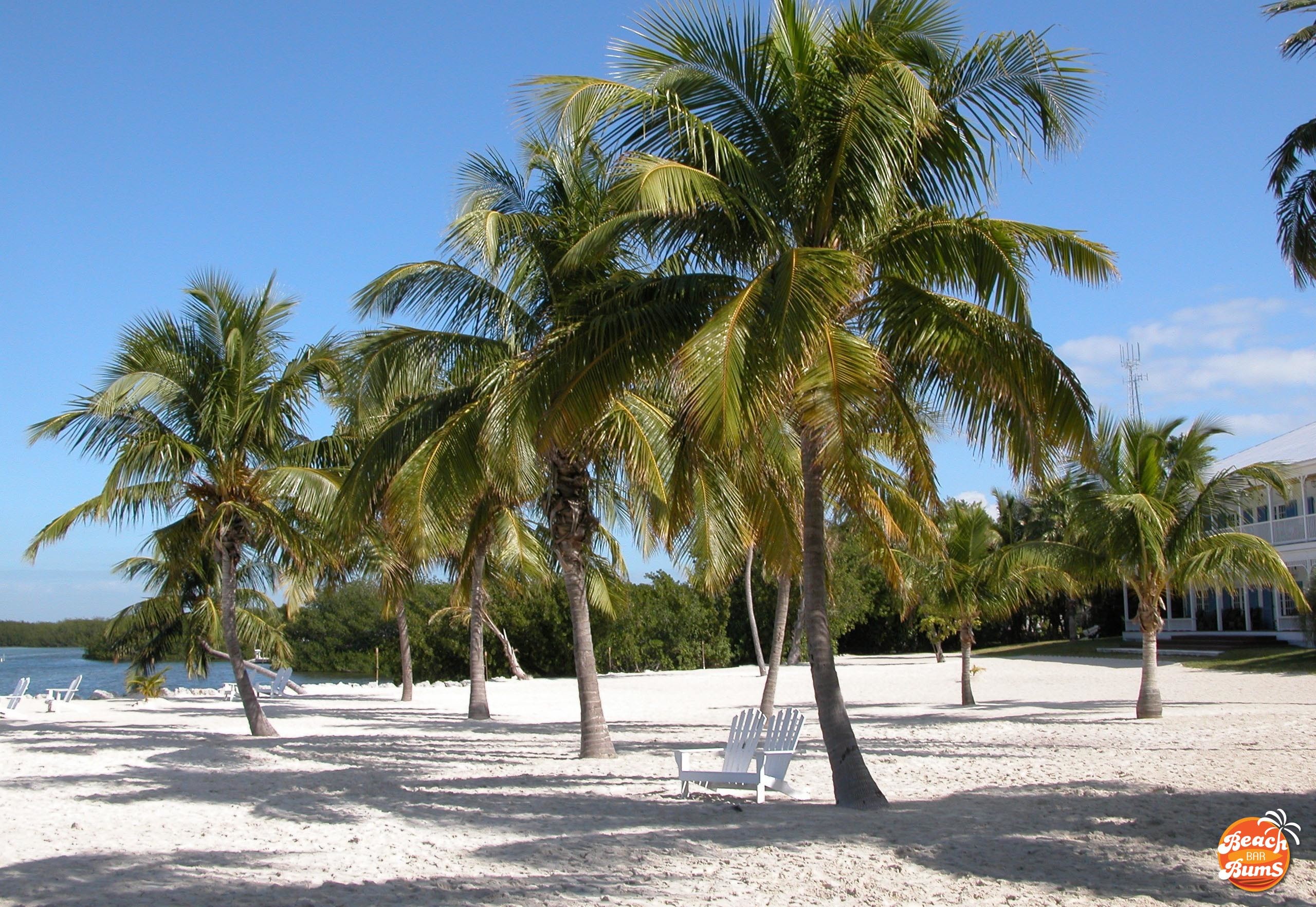 The romanticism of the Florida Keys still holds sway, even when it comes to anonymous beaches such as this one. beach wallpaper