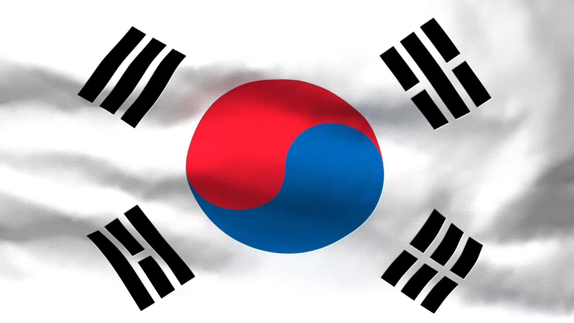 Flag Of South Korea #10