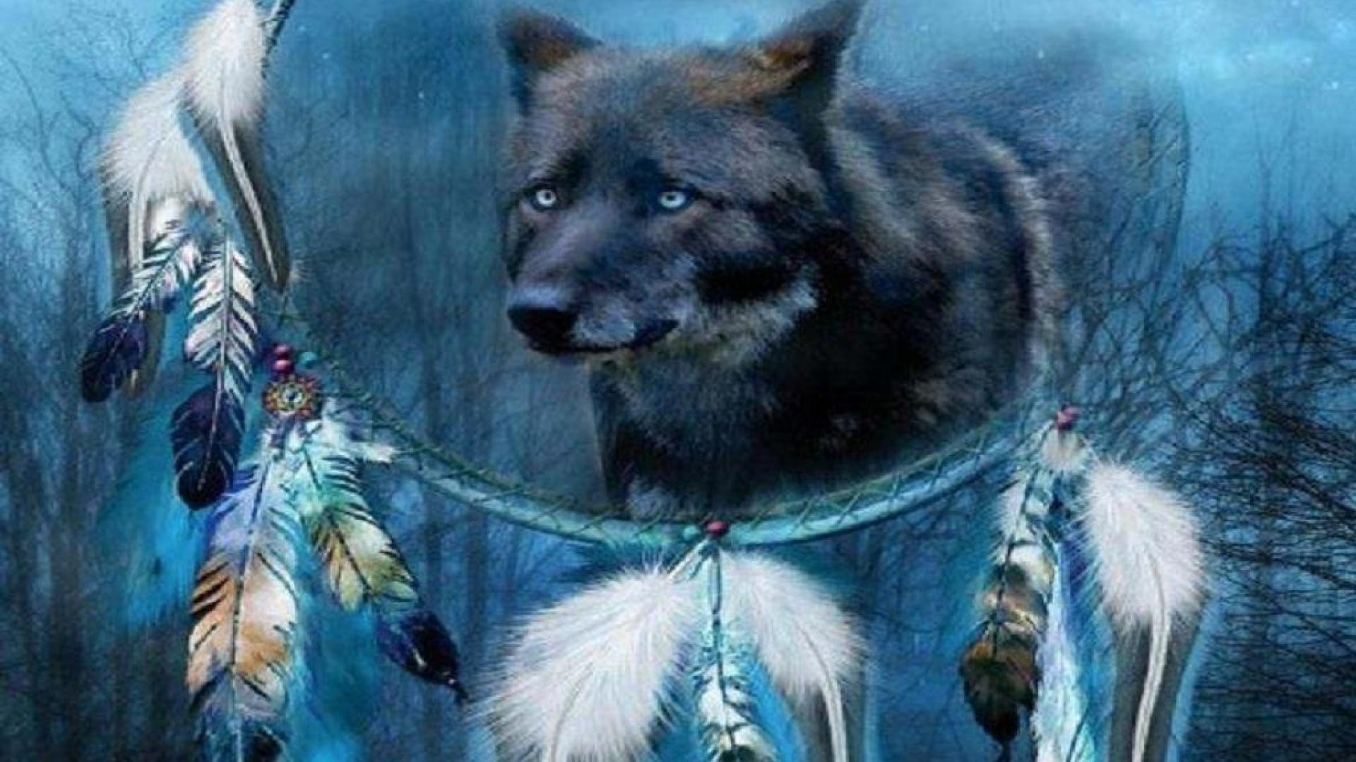 Wolf dream catcher – Other Animals Background Wallpapers