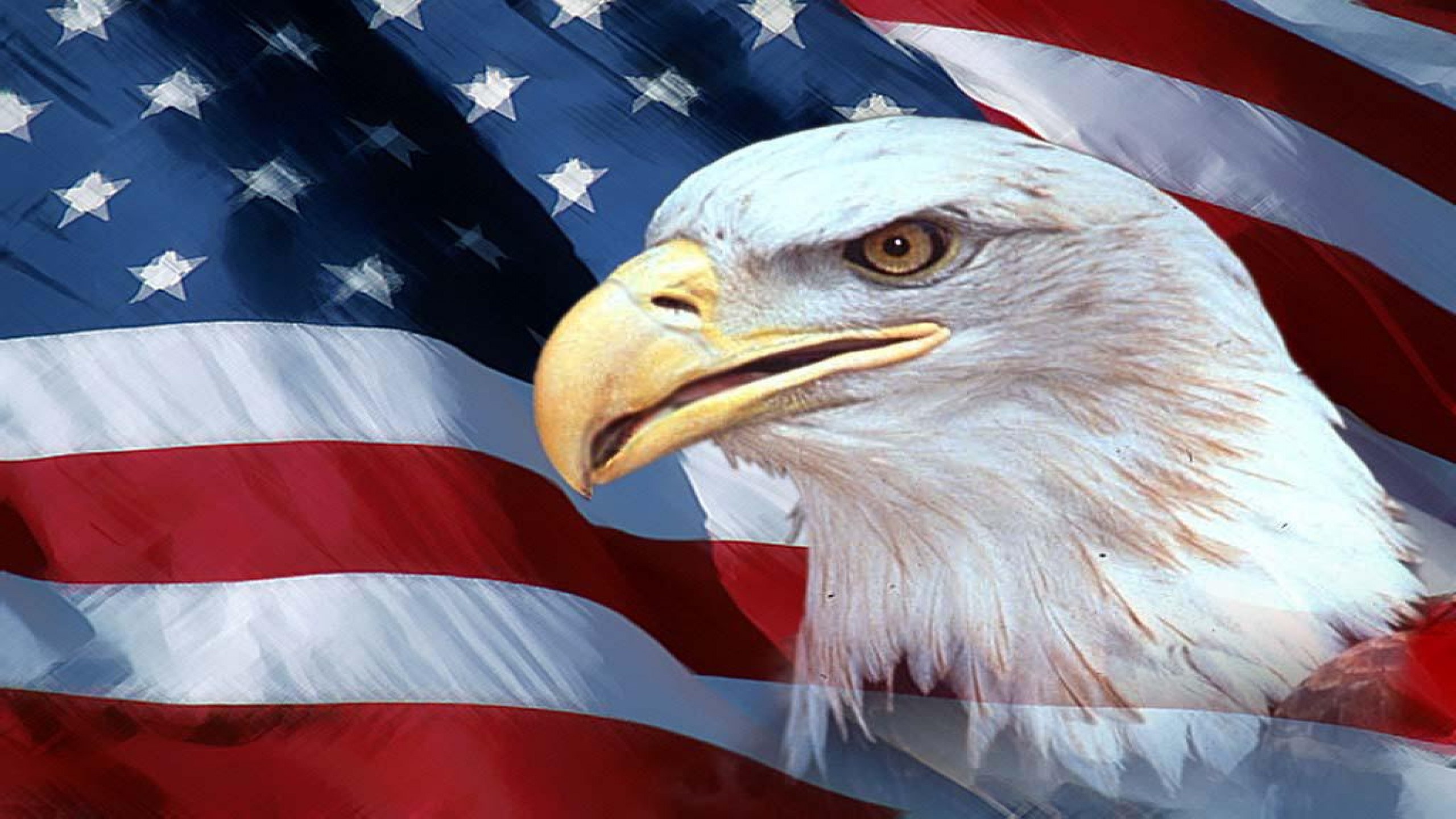 American flag wallpaper 1024×768 eagle