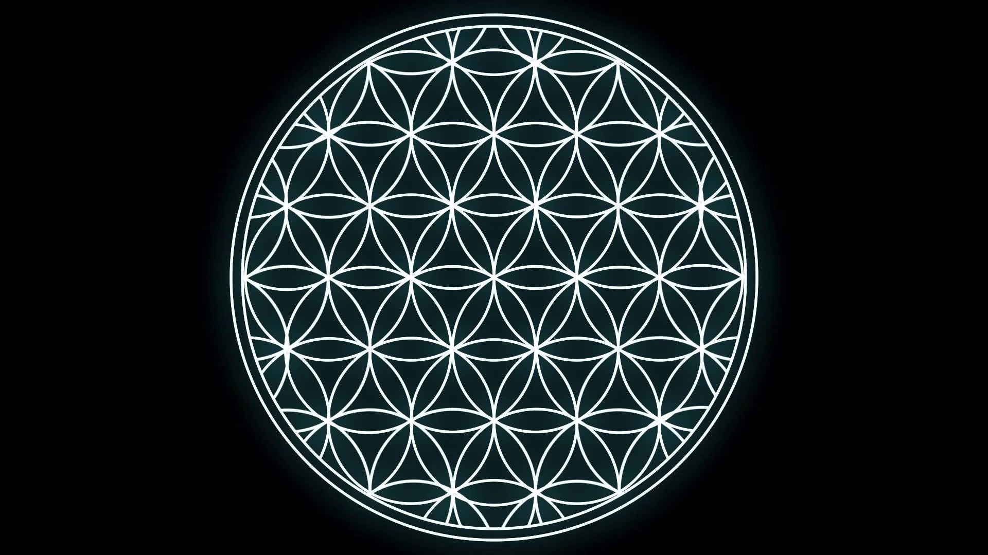 3. The Flower of Life