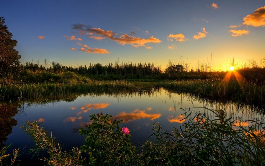 High Resolution Calming Images 79+ Calming Wallpapers for Desktop Background