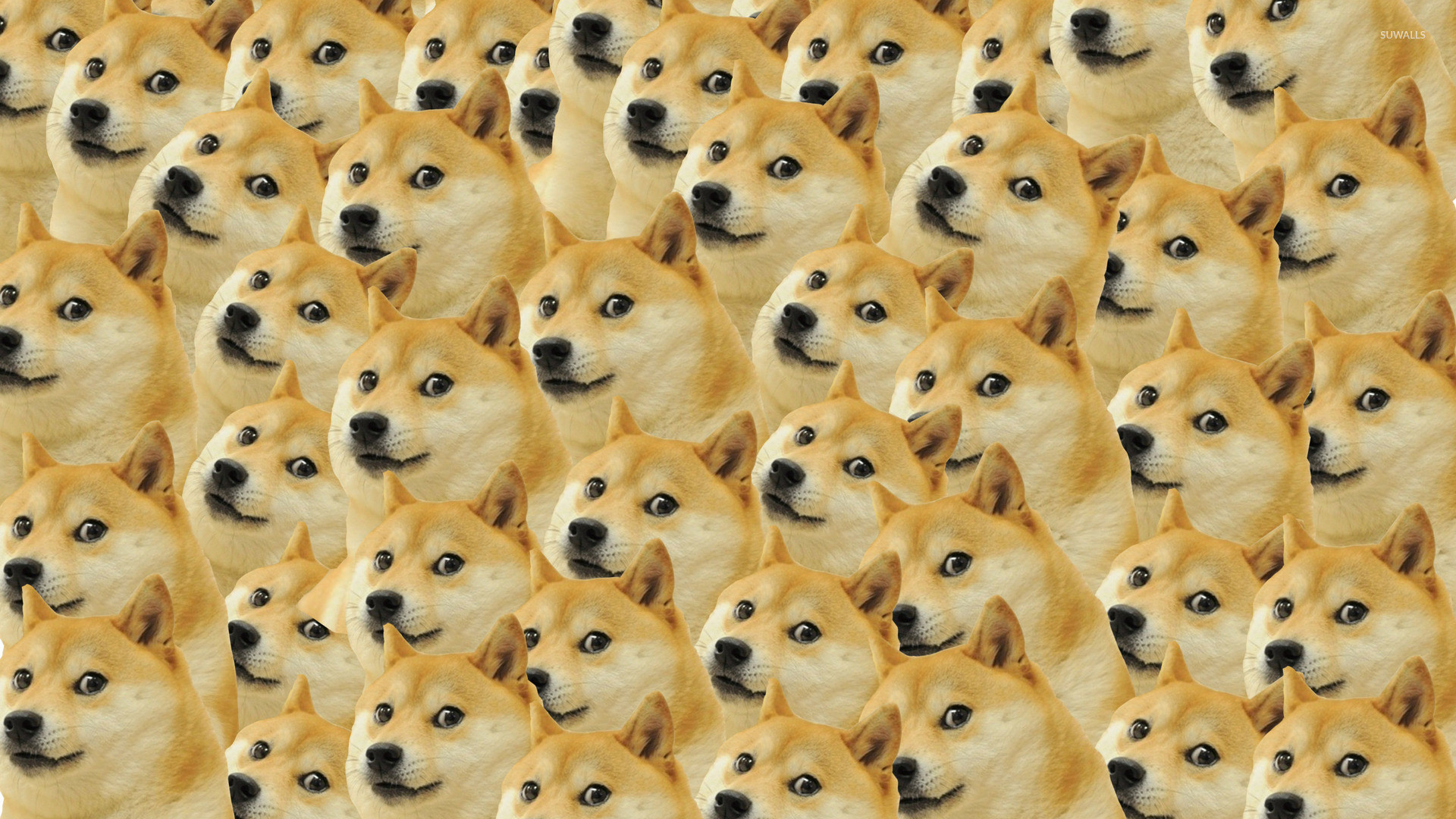 Doge pattern wallpaper – Meme wallpapers –
