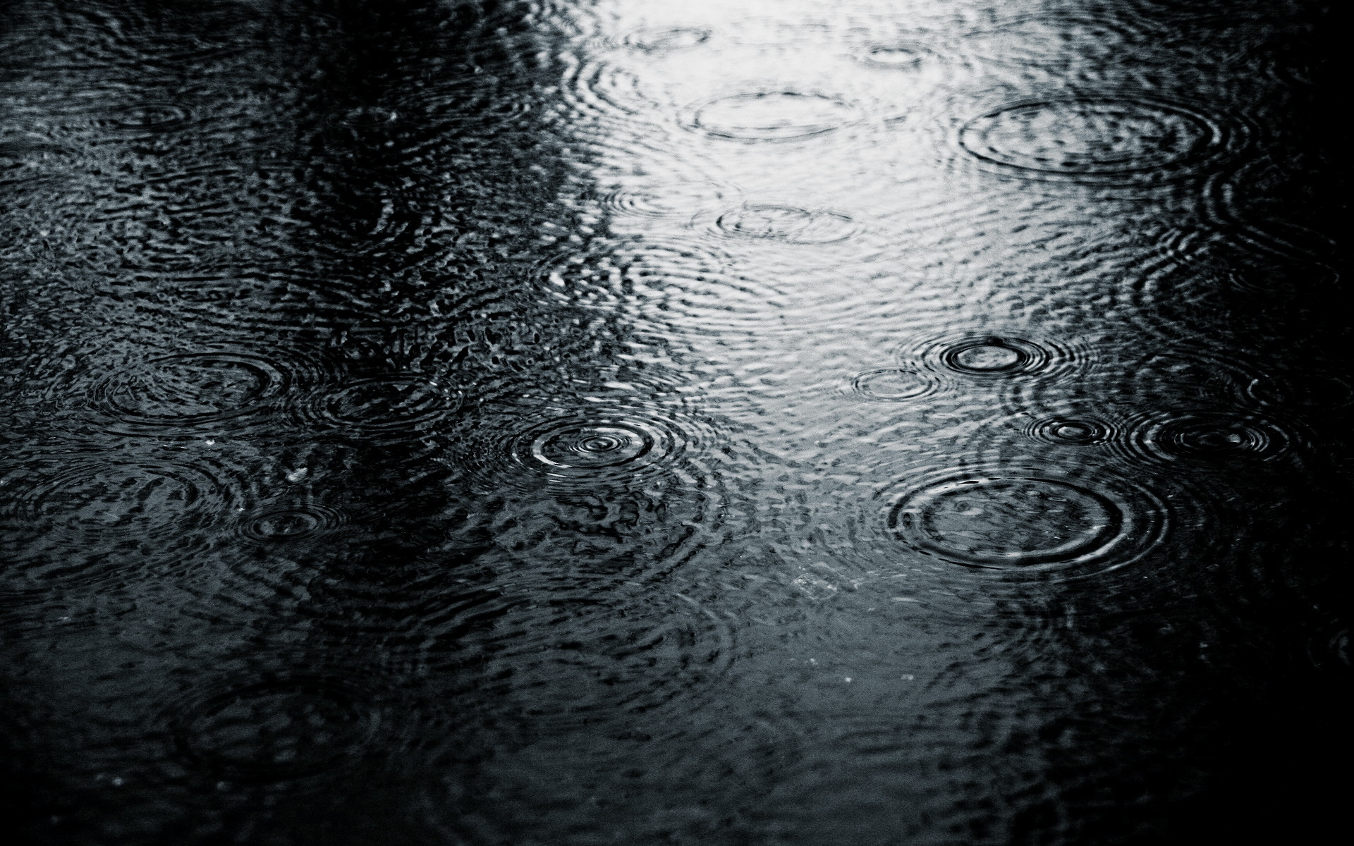 Rain Drops Desktop Wallpapers