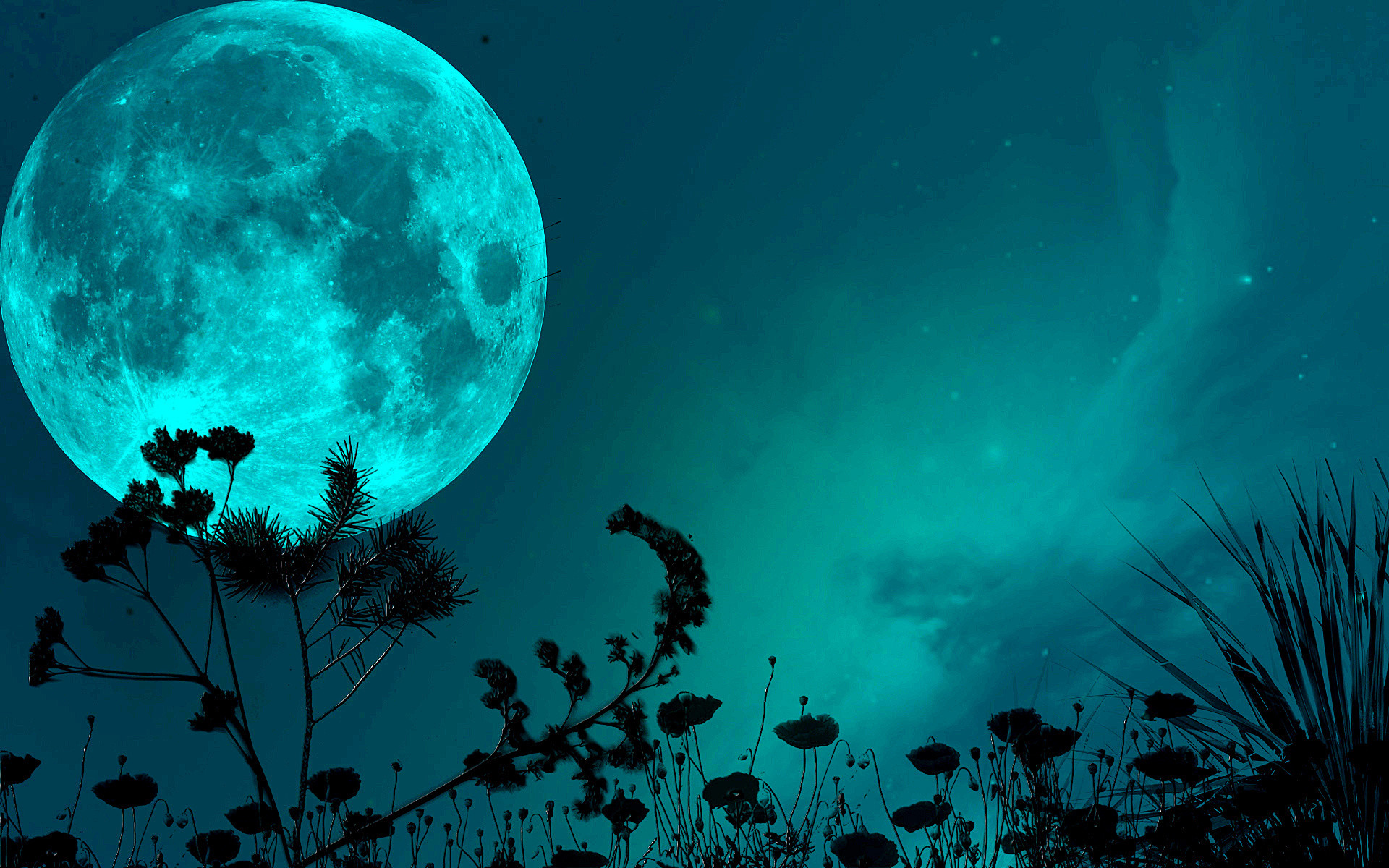 Night sky moon shadows grass blade stars wallpaper | | 70567 |  WallpaperUP