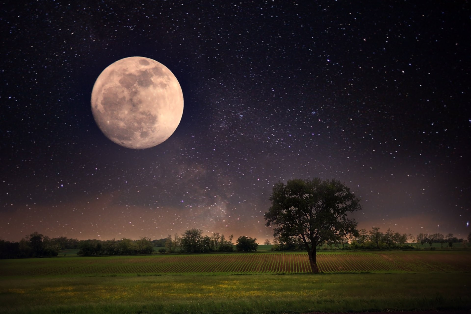 moon night landscape stars full moon sky beautiful scene nature lonely tree  landscape moon night landscape
