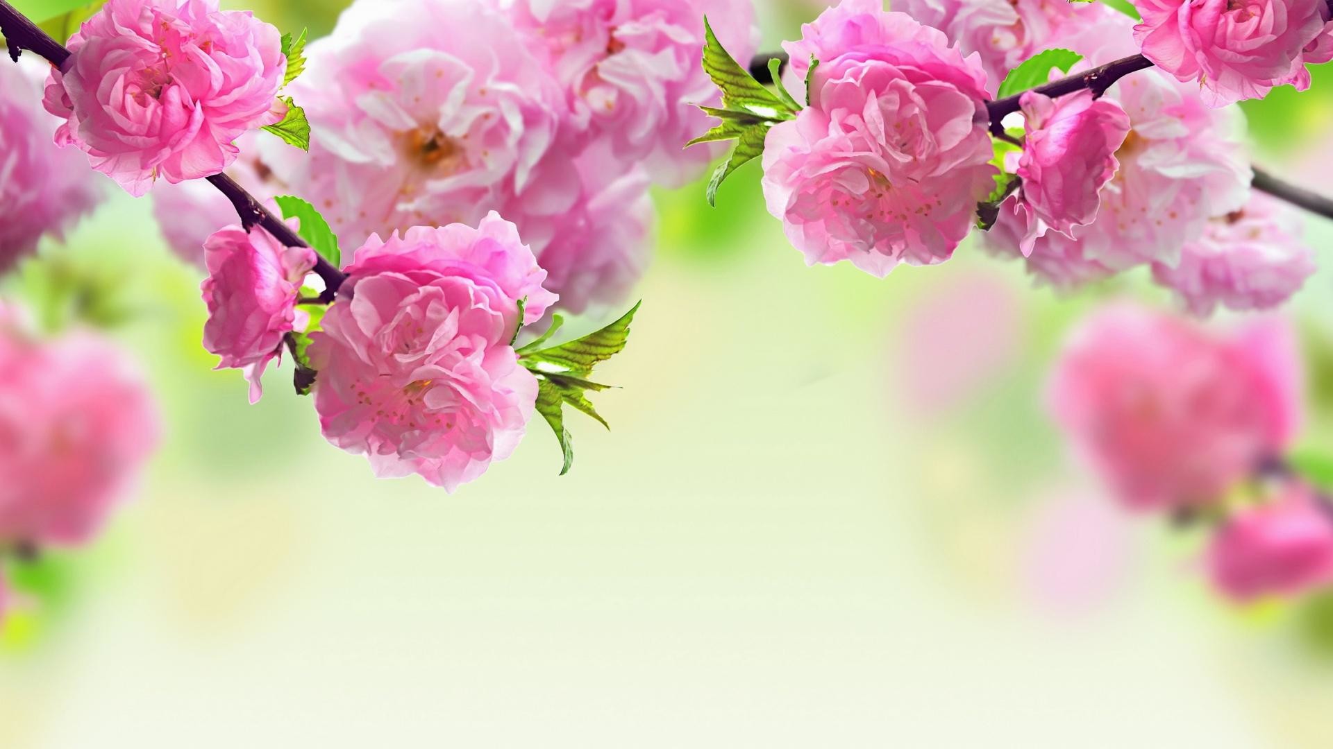 7. funeral flowers pictures7 600×338