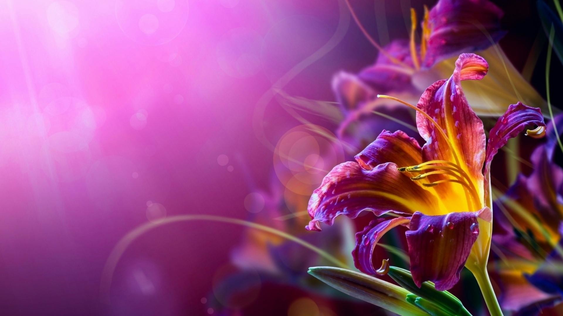 6. flowers funeral home wallpaper6 600×338