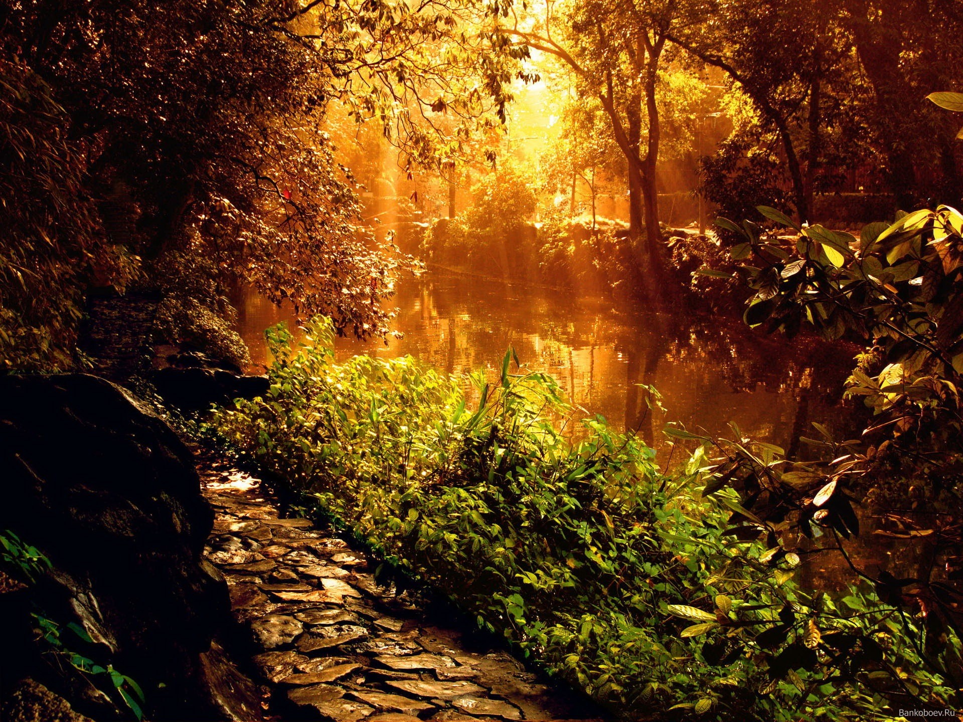 Mystical Backgrounds HQ wallpaper Mystic Road 1280 x 1024 on the desktop, high quality