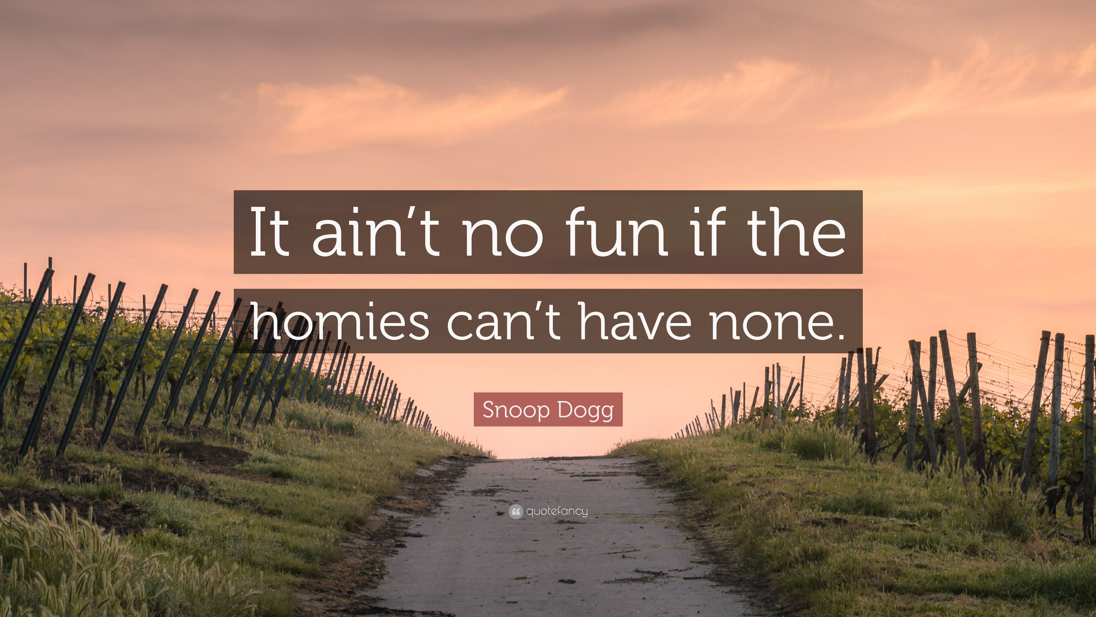 Snoop Dogg Quote It aint no fun if the homies can