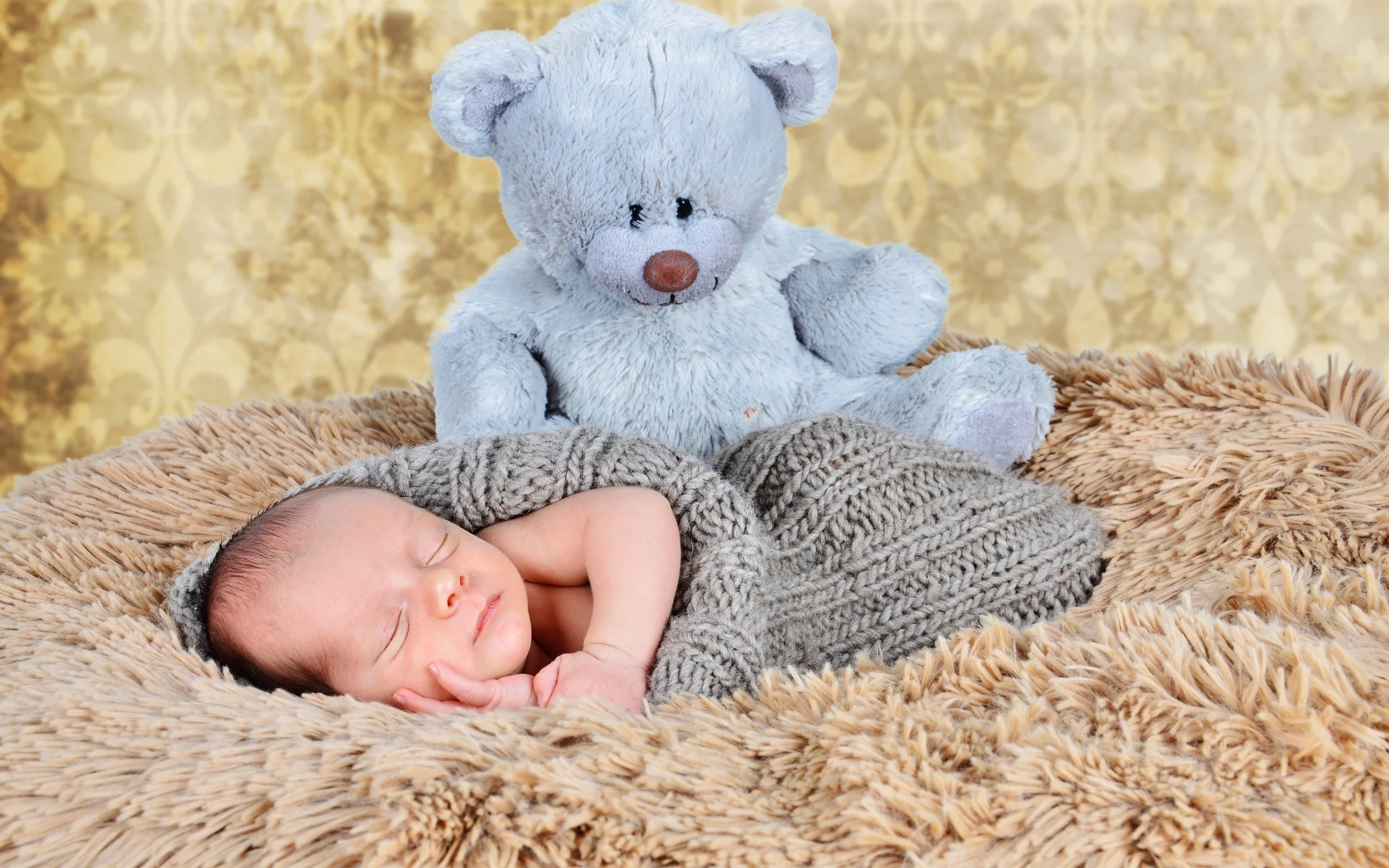 Baby boy sleeping in blanket beside his teddy bear so cute hd images for desktop background