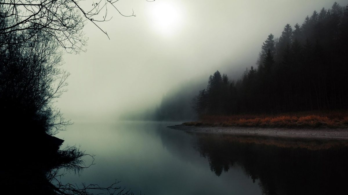 foggy-wallpaper-13880