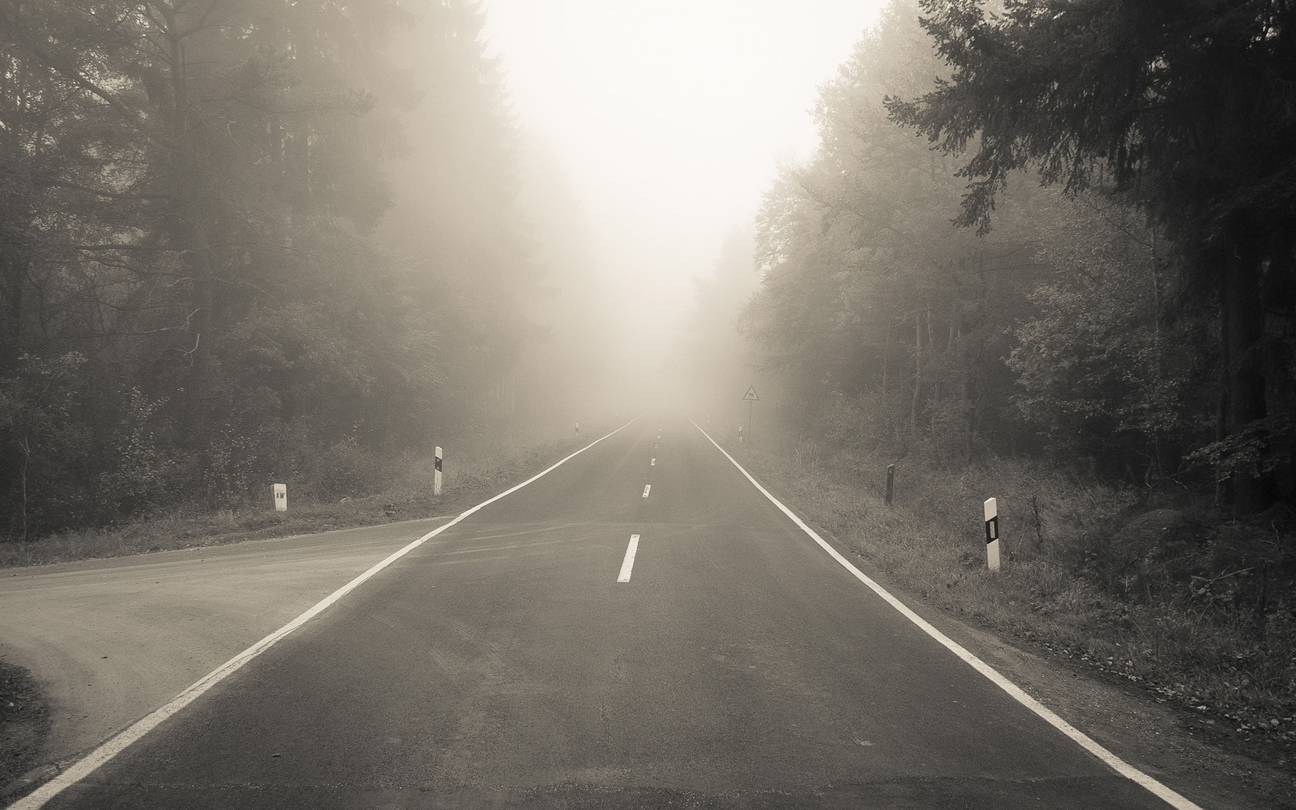 Foggy Road Wallpaper Background 13856