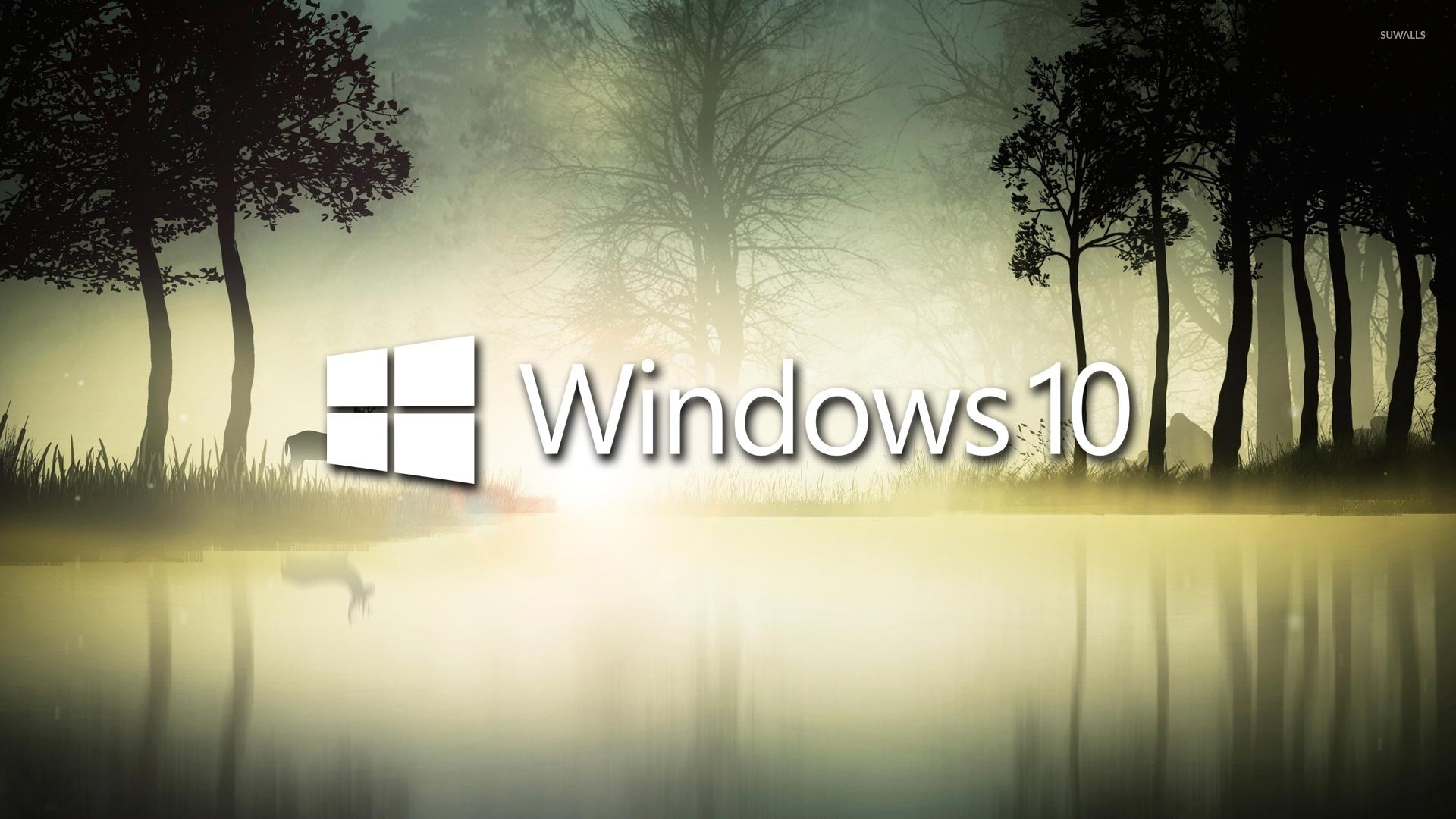 Windows 10 in the foggy forest wallpaper