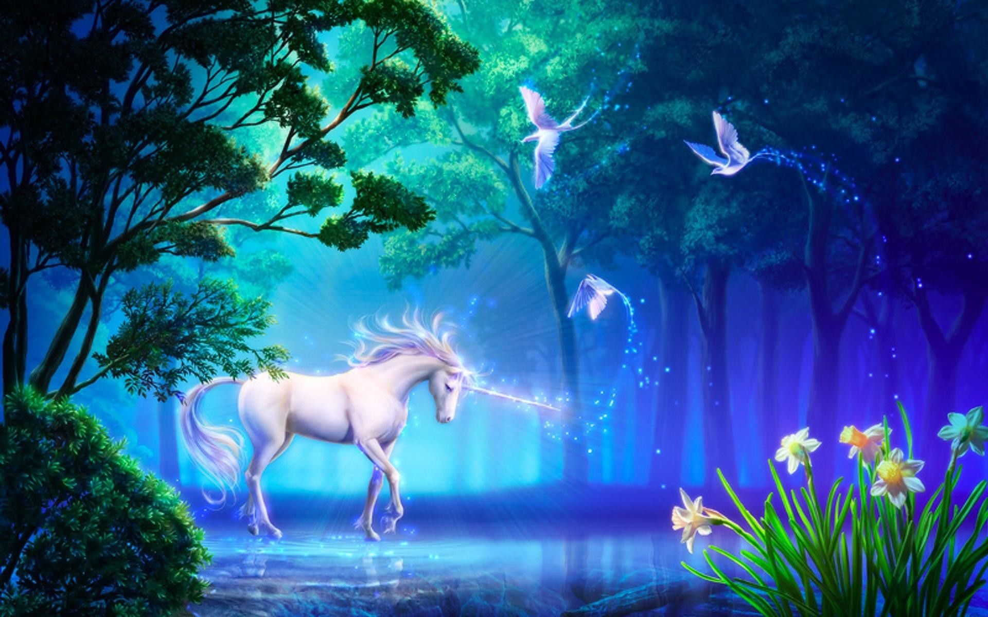 Unicorn Horse Greek Mythology Wallpapers HD / Desktop and Mobile Backgrounds