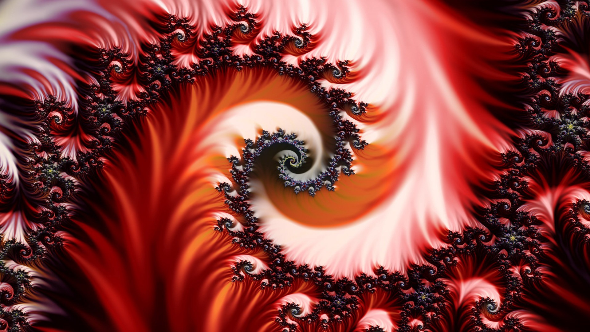 Image detail for Wallpaper, fractal, red – 81368
