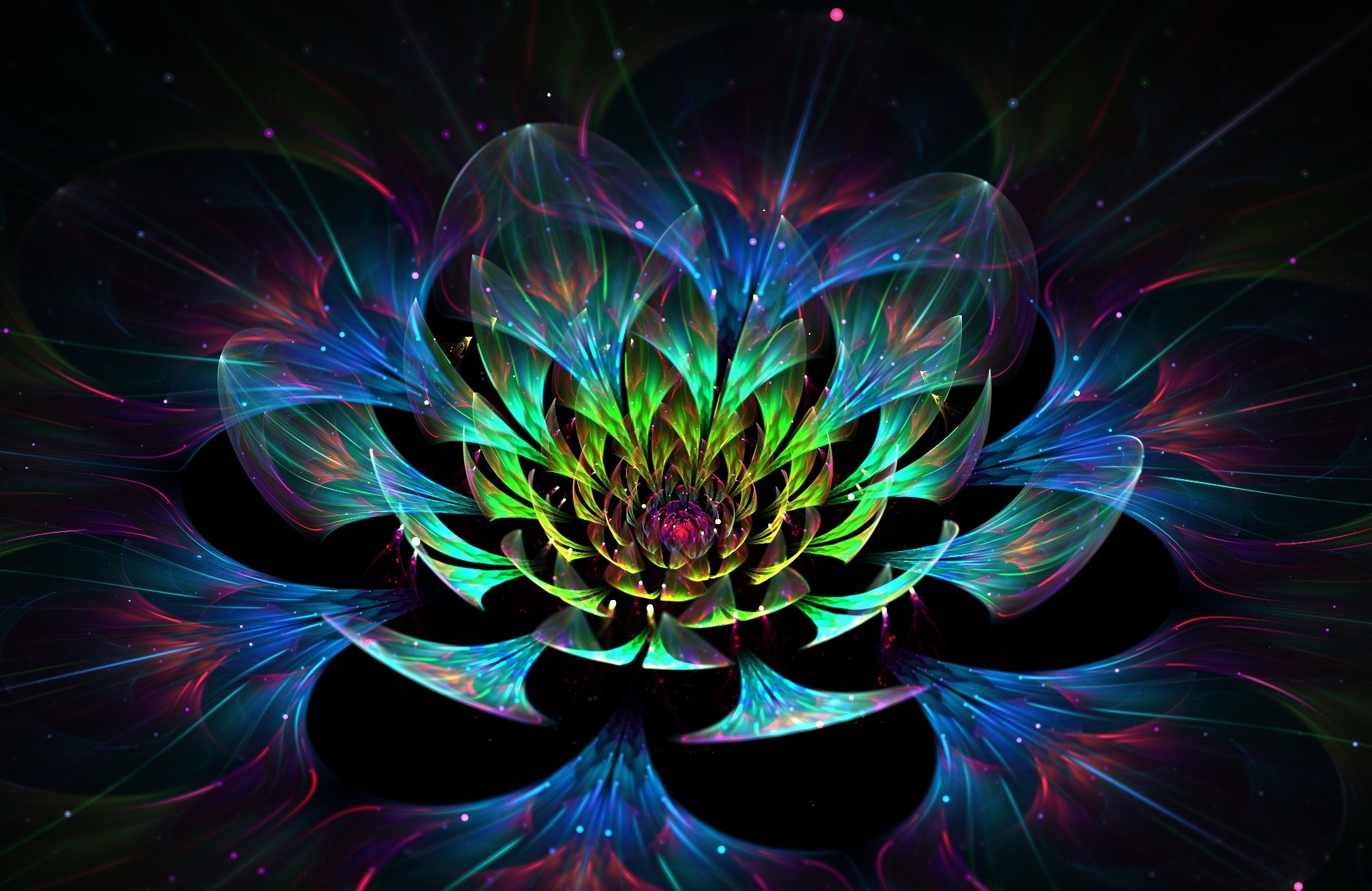 Free Hd Fractal Flowers Abstract Petals Glitter Lights Art 3d Wallpapers Download