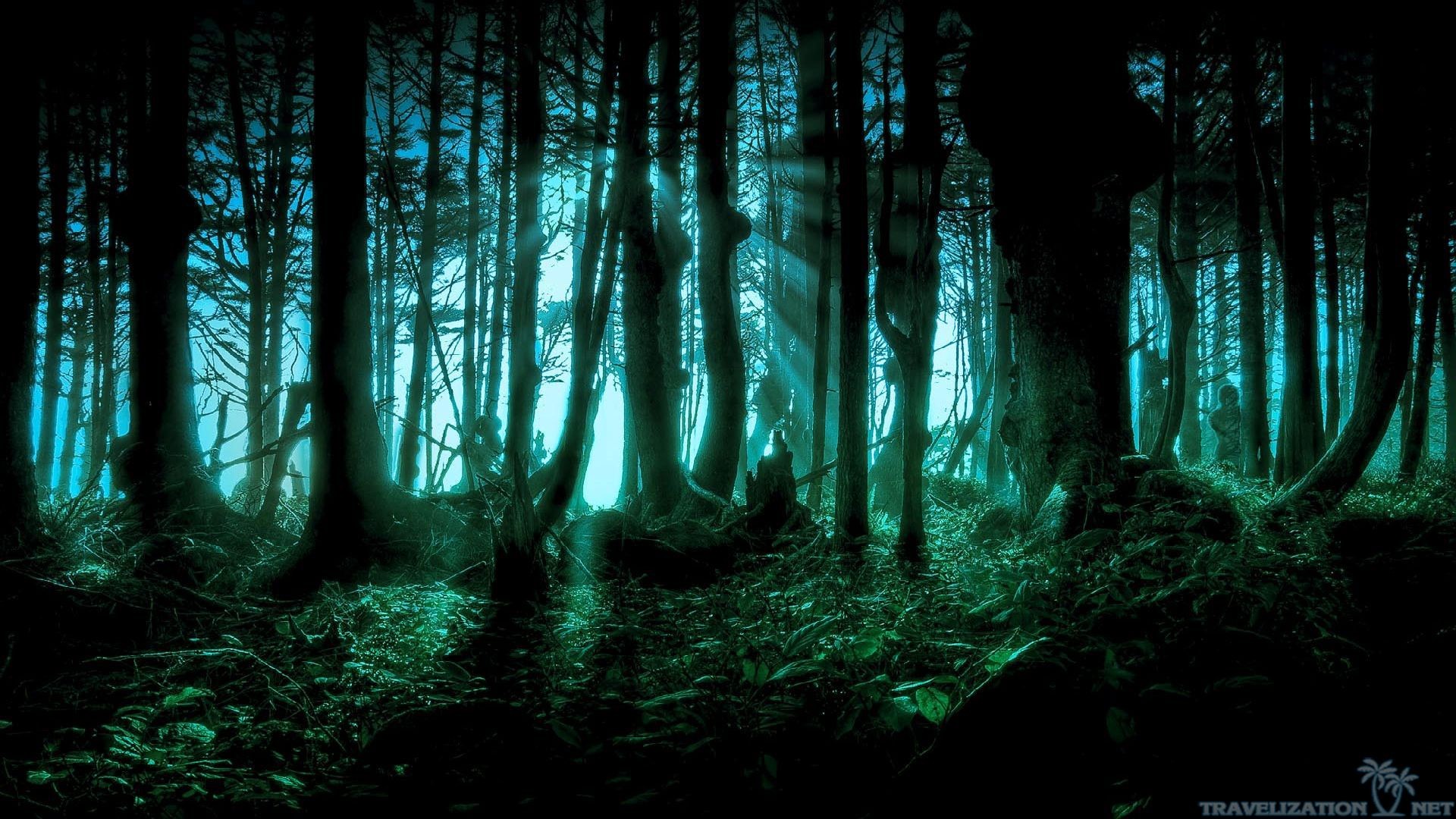 You can find Dark Nature wallpapers in many resolution such as 1024768, 12801024, 1366768,